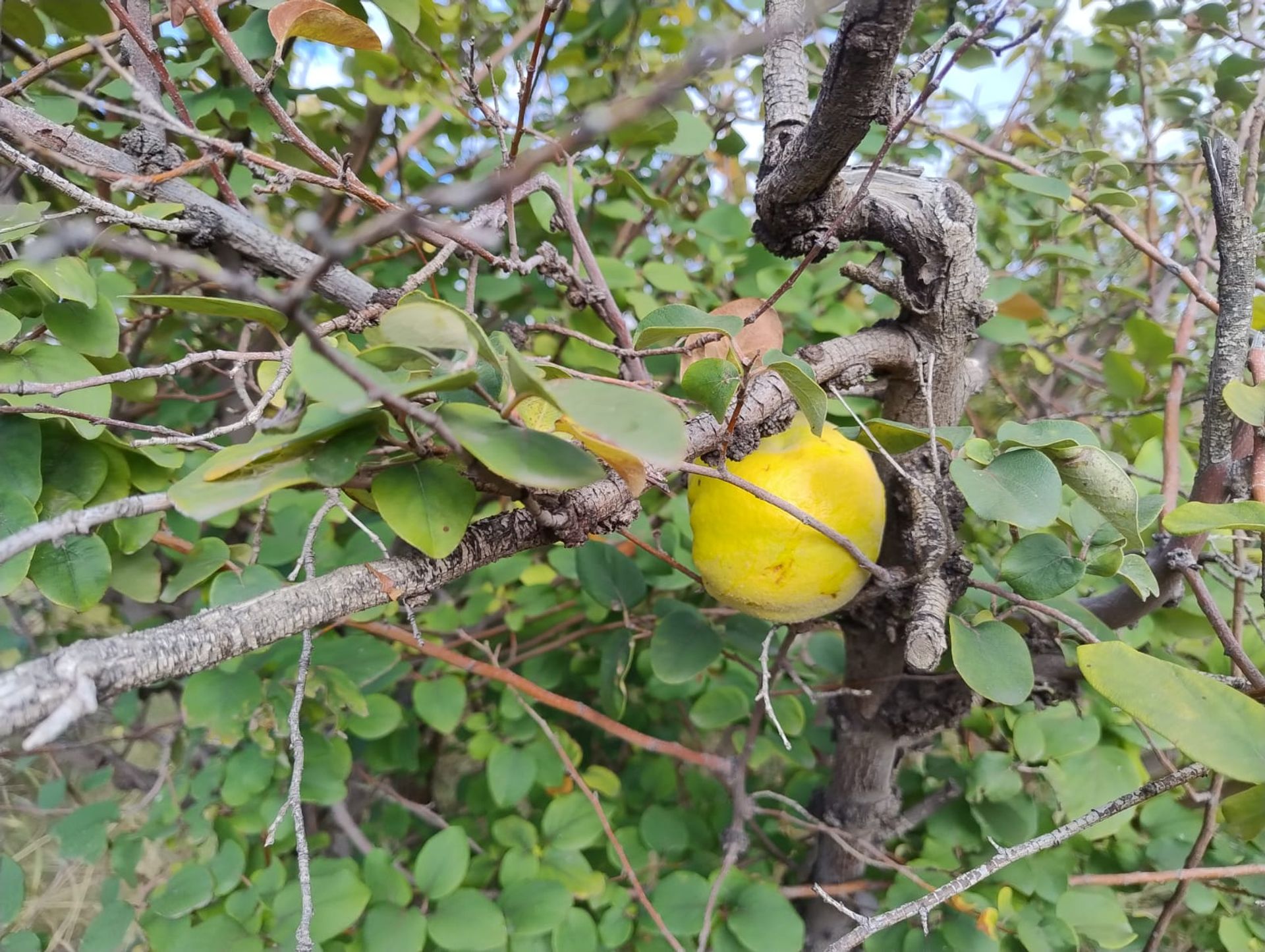 Campo en Venta en 25 de Mayo, San Juan