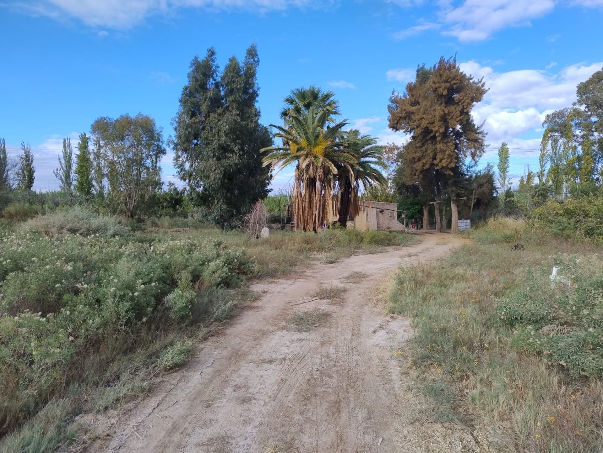 Campo en Venta en 25 de Mayo, San Juan