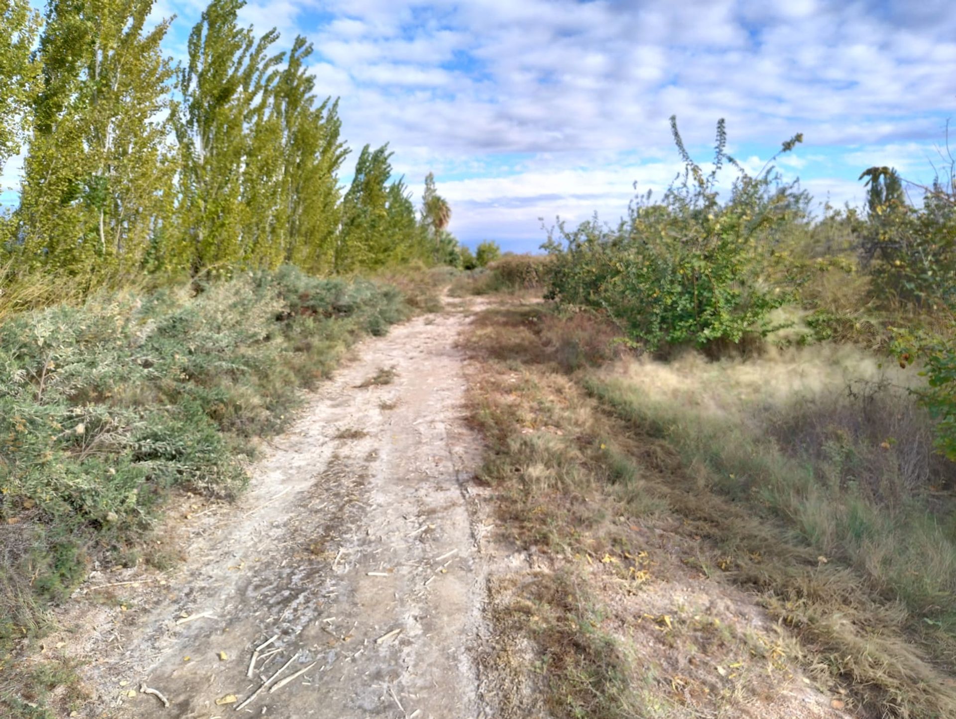 Campo en Venta en 25 de Mayo, San Juan