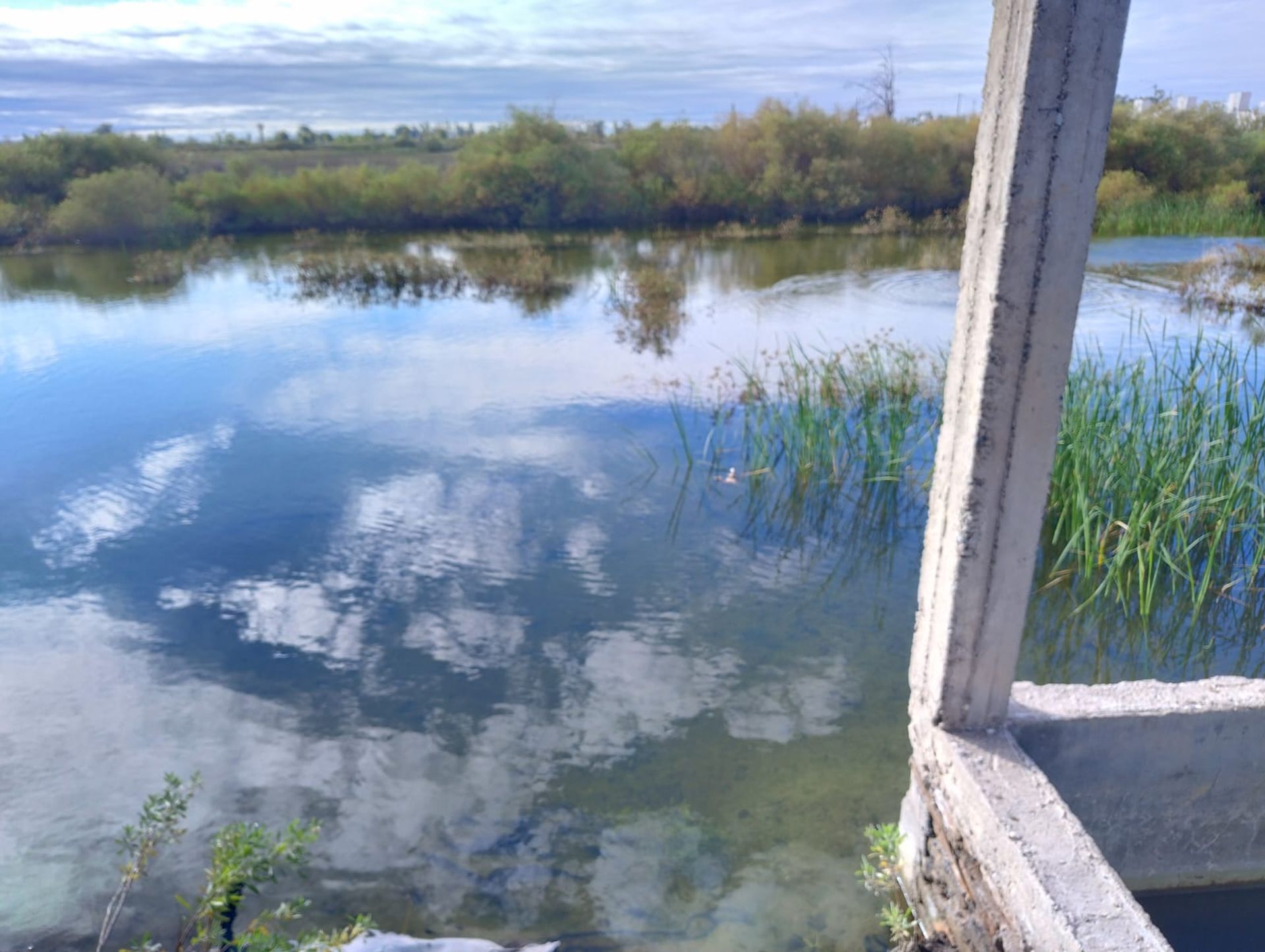 Campo en Venta en 25 de Mayo, San Juan