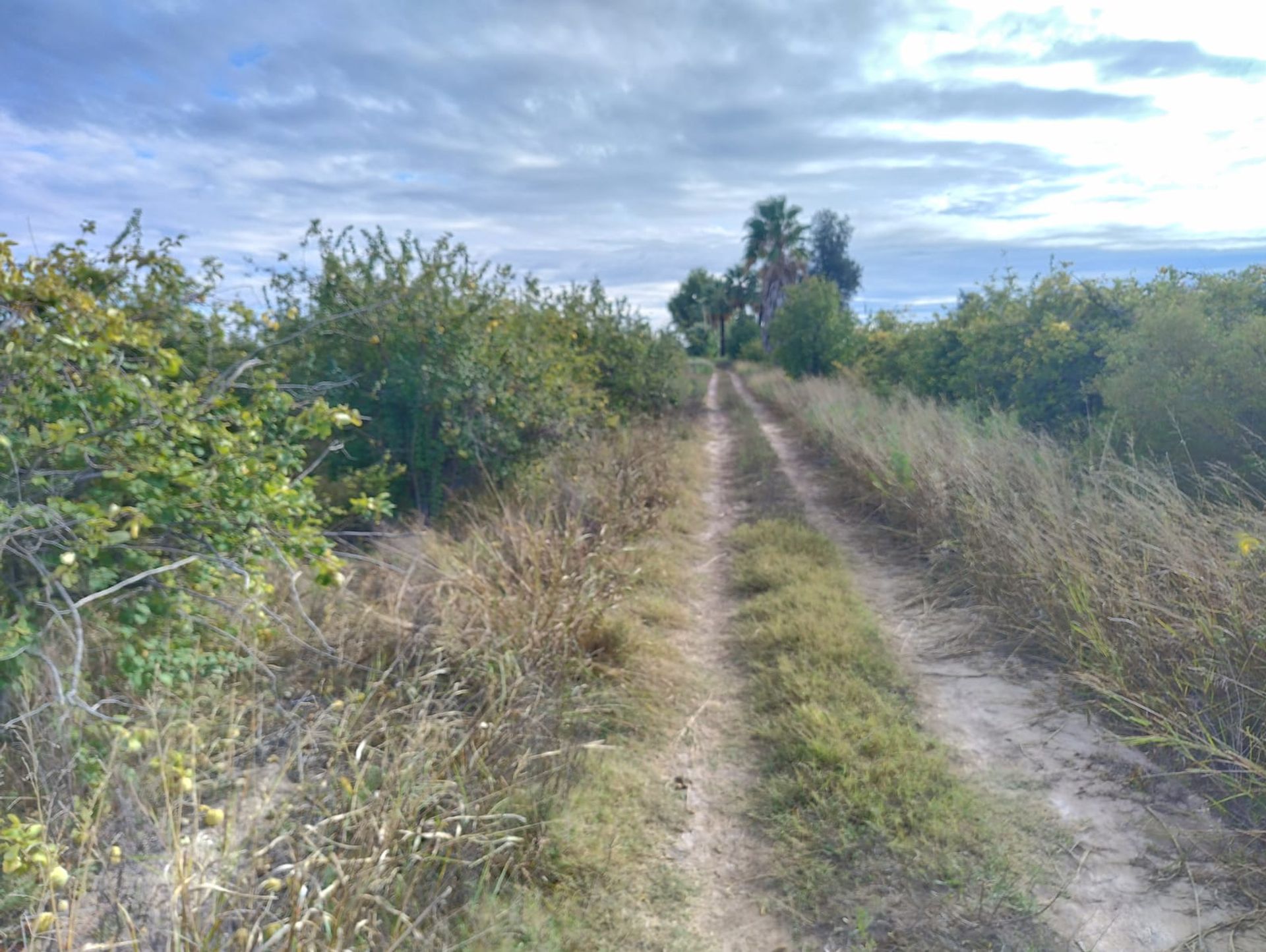 Campo en Venta en 25 de Mayo, San Juan