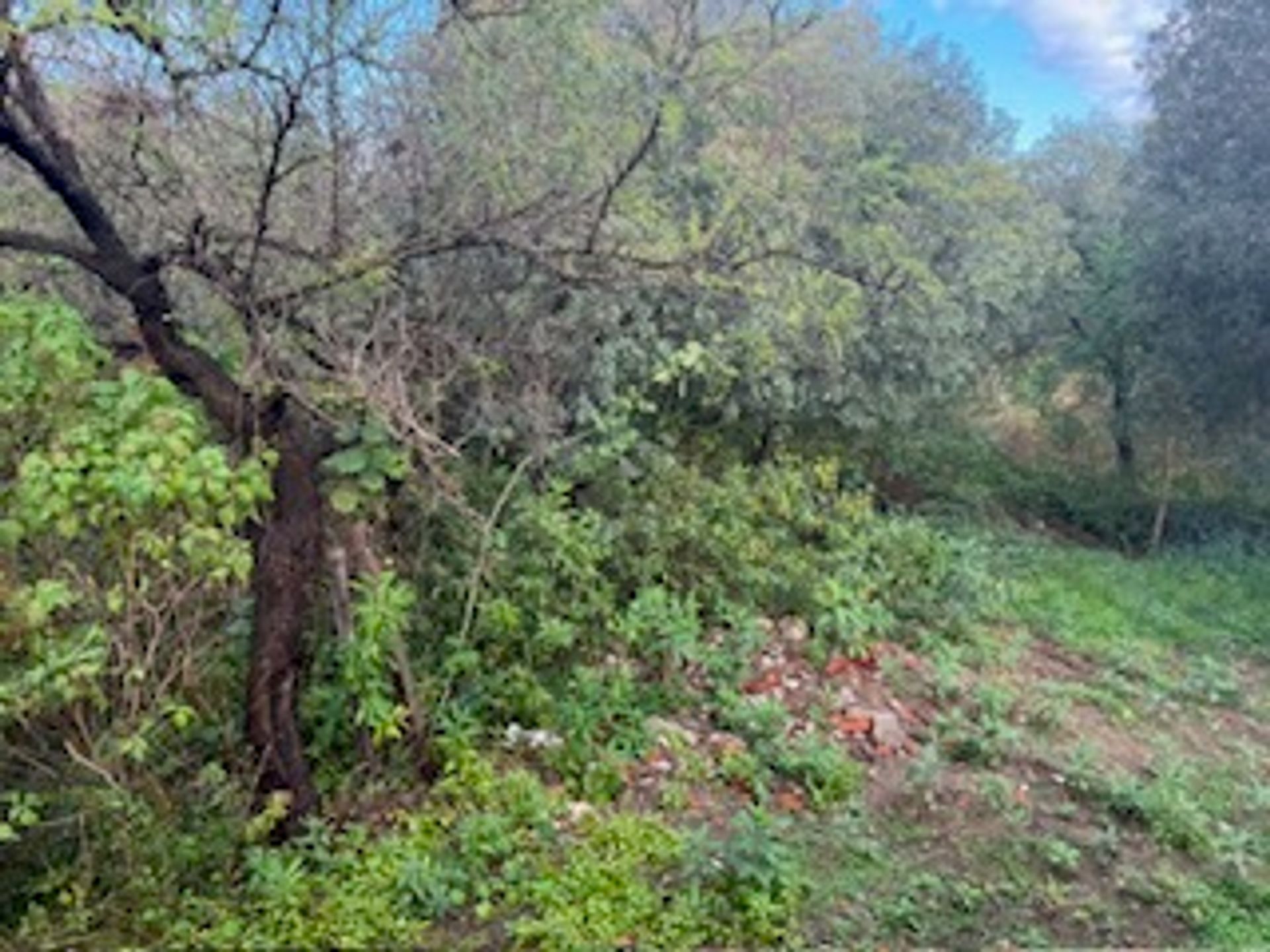 Lote en Venta en Colon, Cordoba