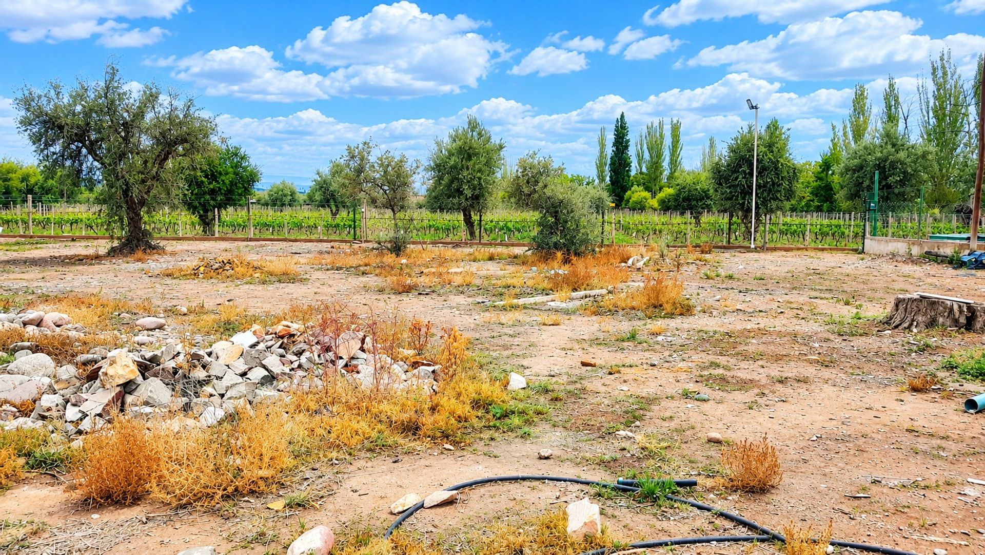 Lote en Venta en Maipu, Mendoza