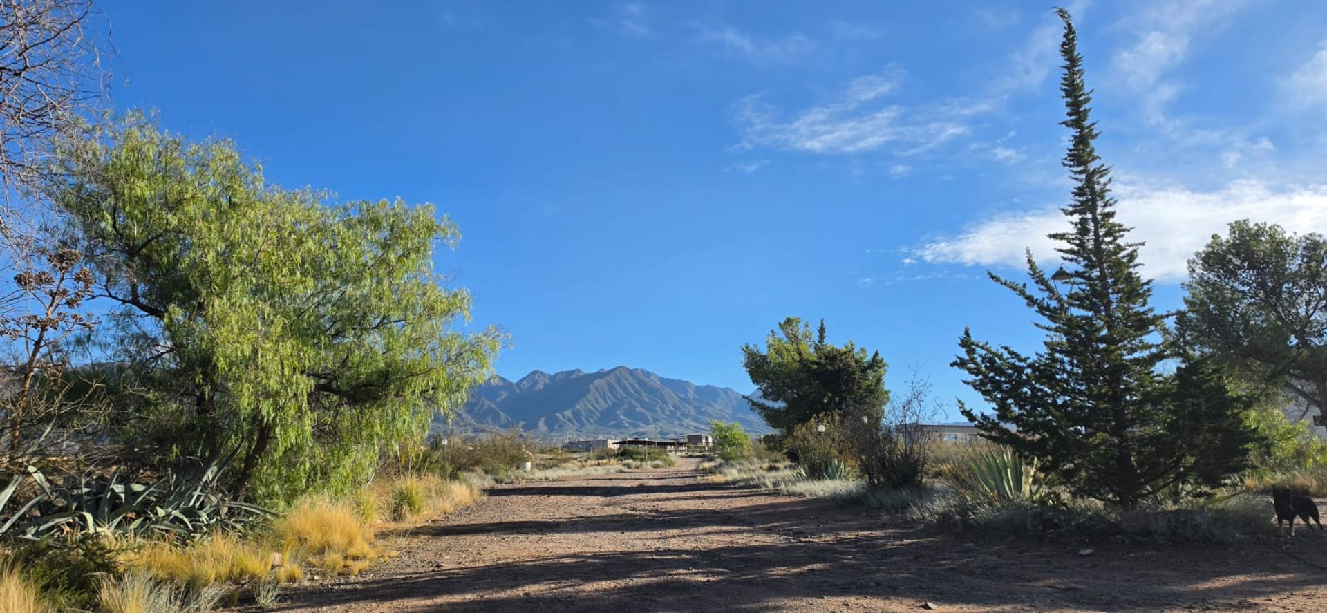 Fondo de Comercio en Venta en Lujan de Cuyo, Mendoza