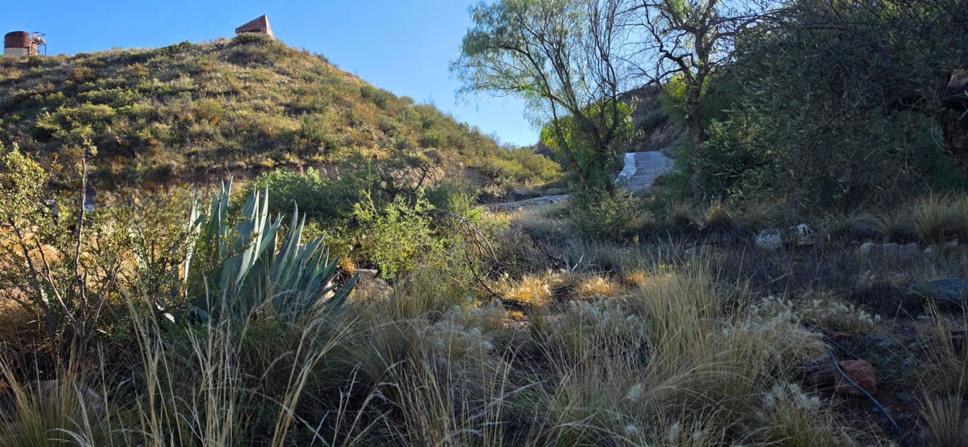 Fondo de Comercio en Venta en Lujan de Cuyo, Mendoza