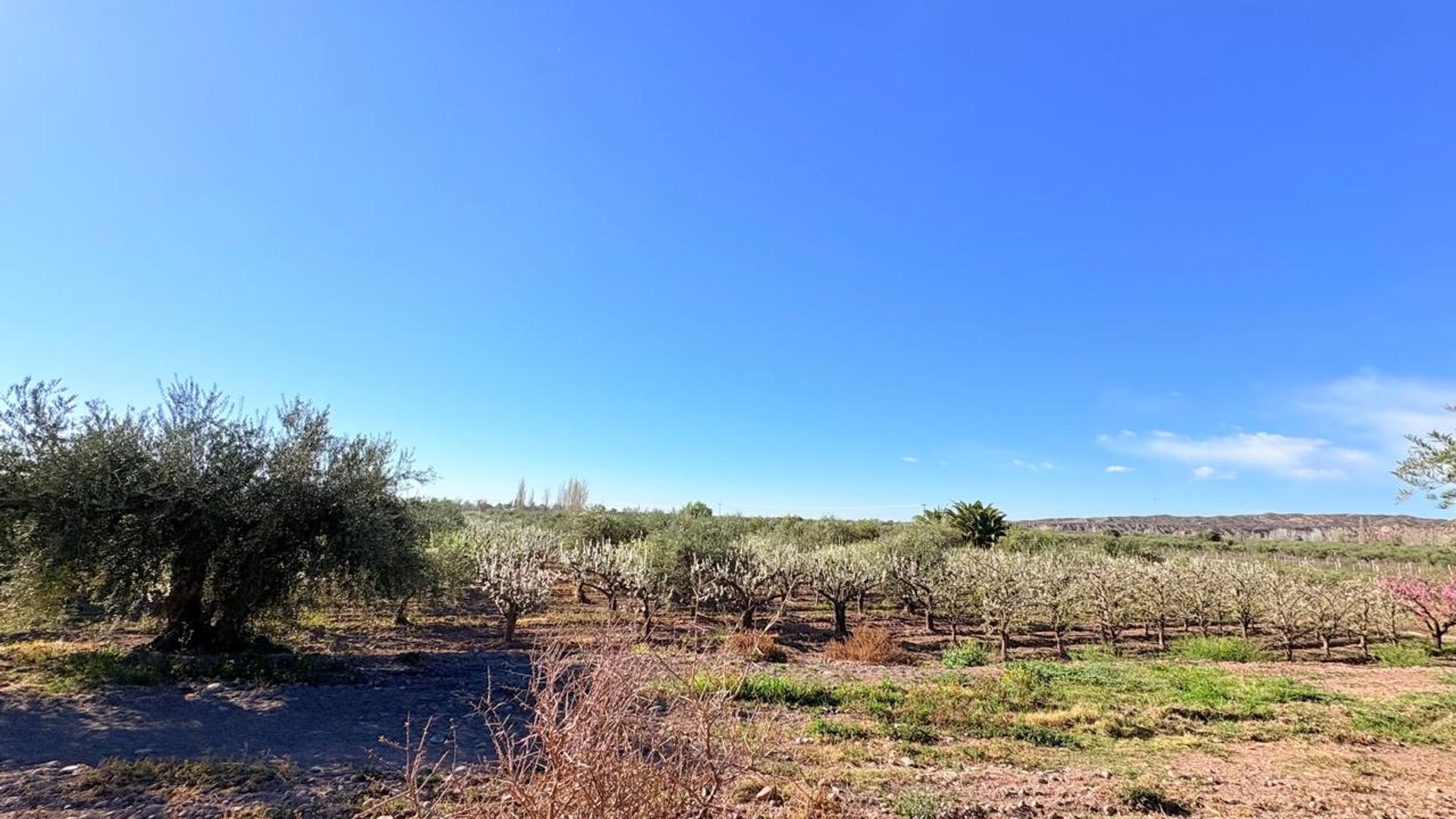 Campo en Venta en Maipu, Mendoza