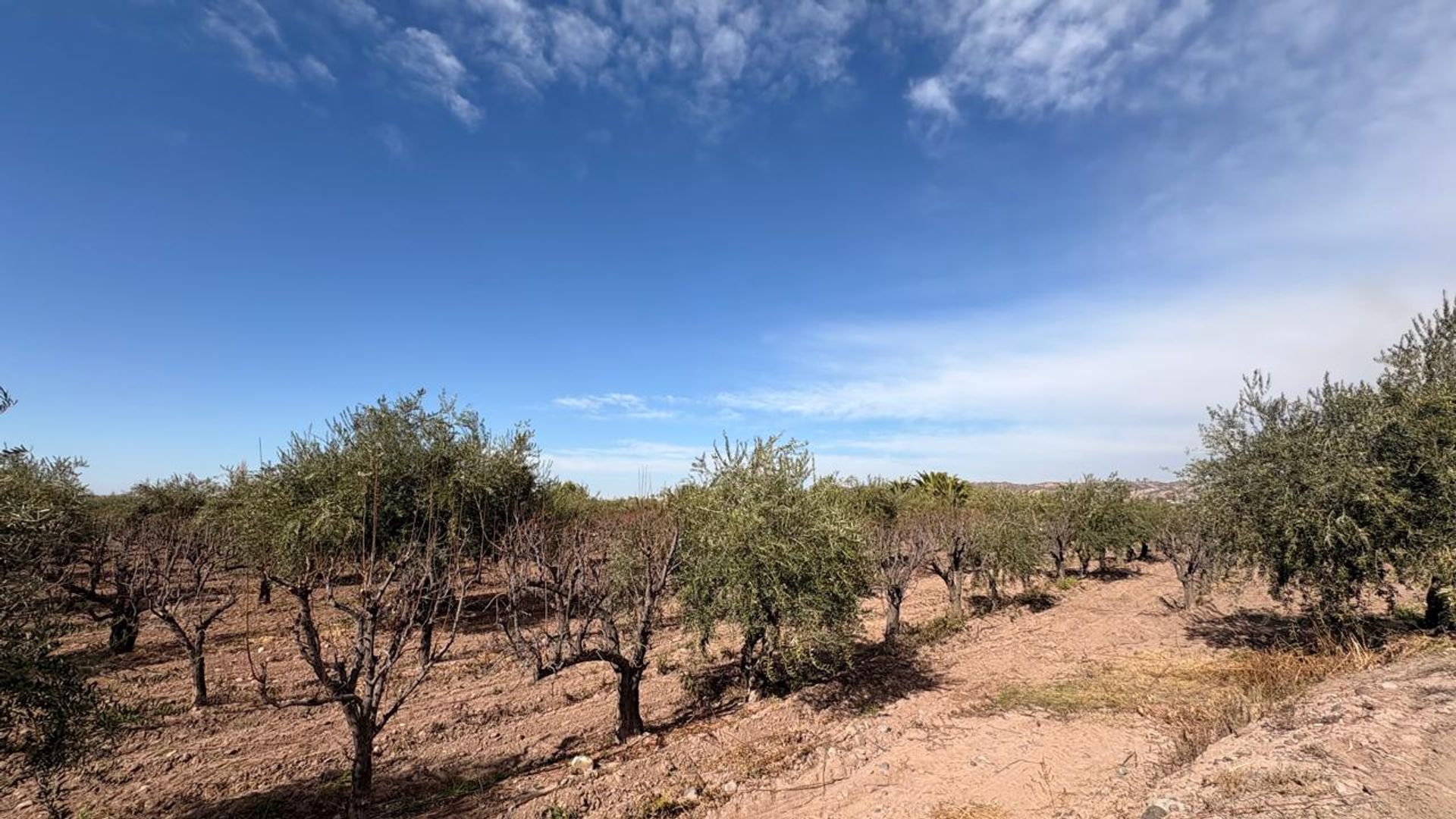 Campo en Venta en Maipu, Mendoza