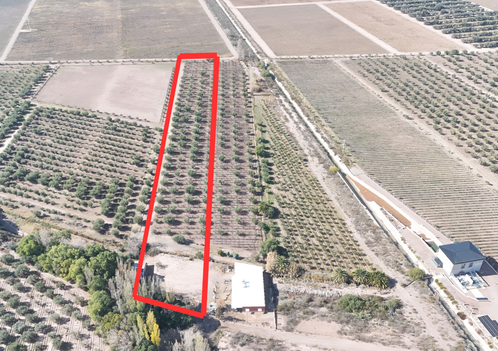 Campo en Venta en Maipu, Mendoza