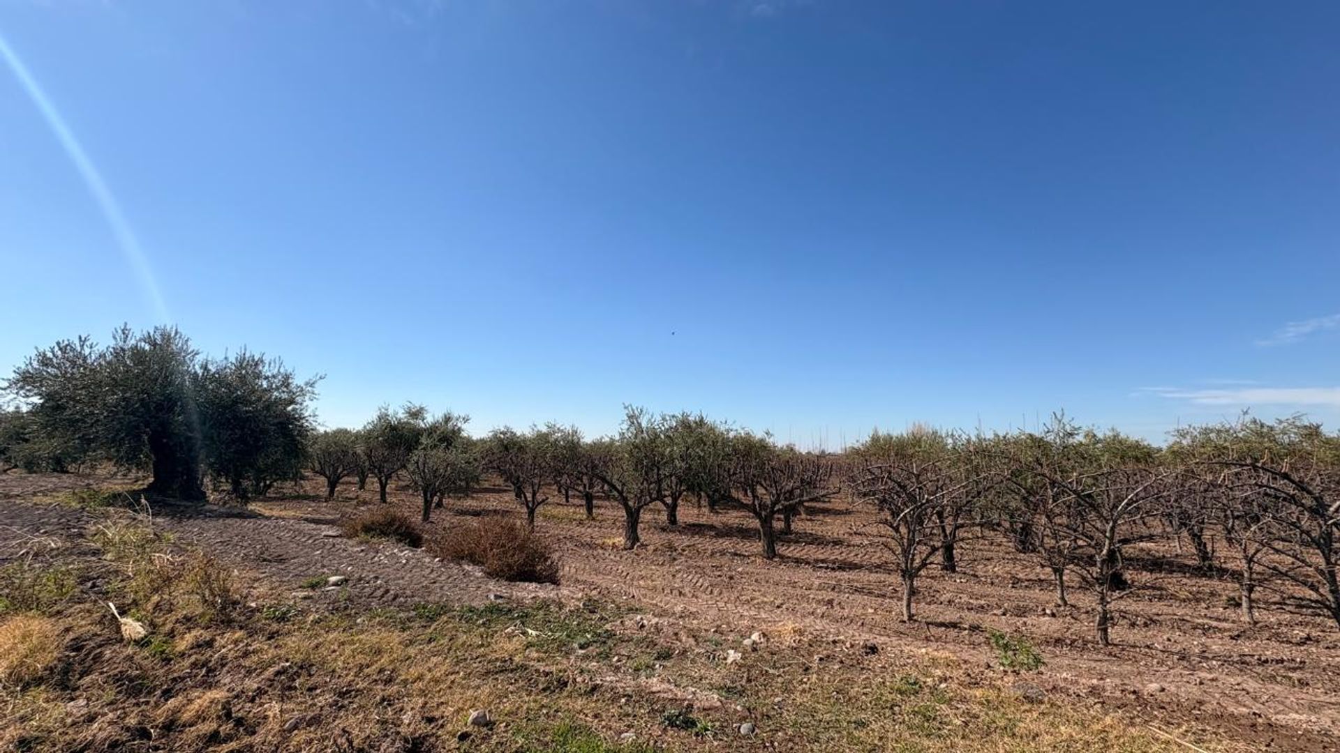 Campo en Venta en Maipu, Mendoza