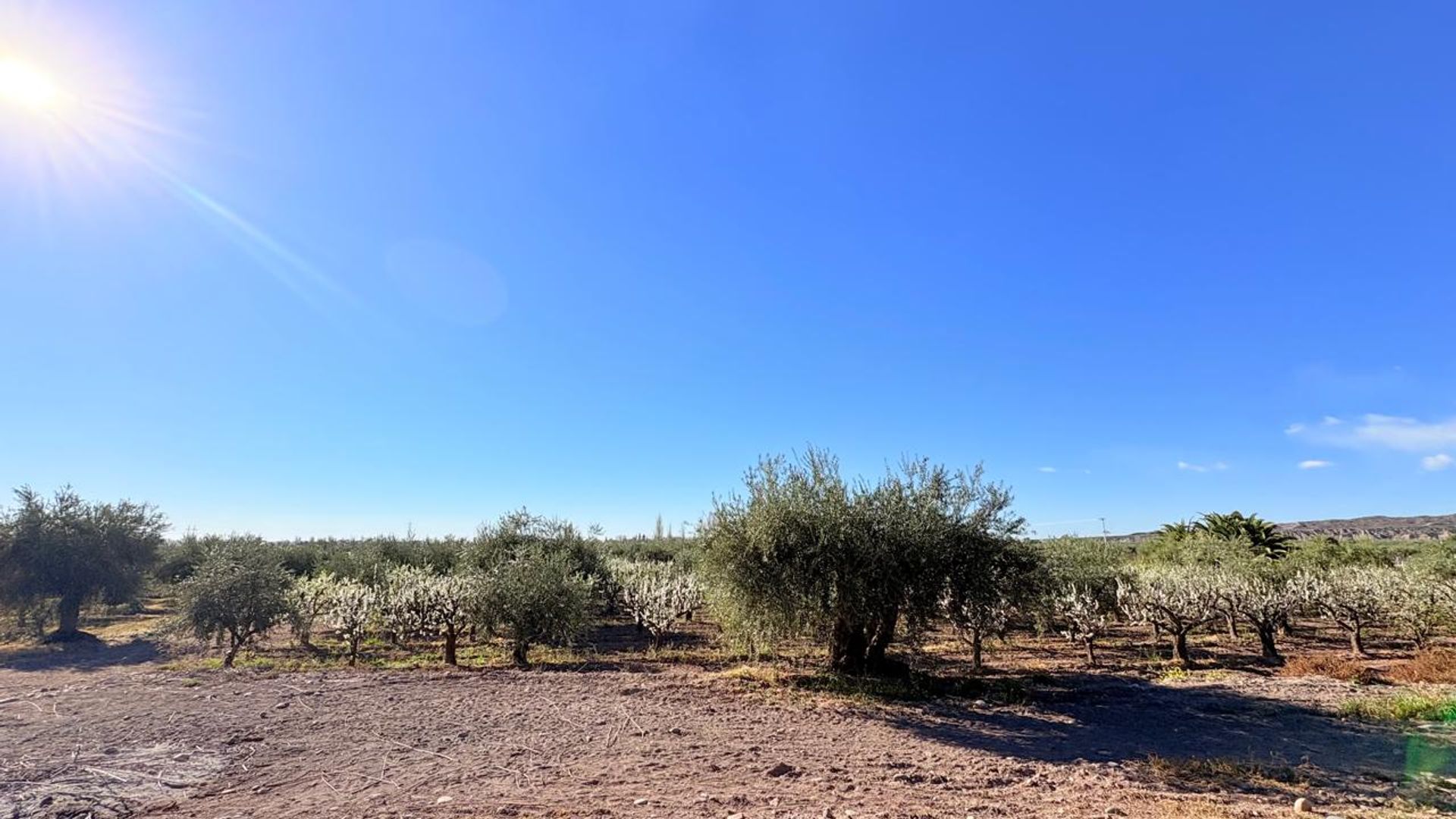 Campo en Venta en Maipu, Mendoza