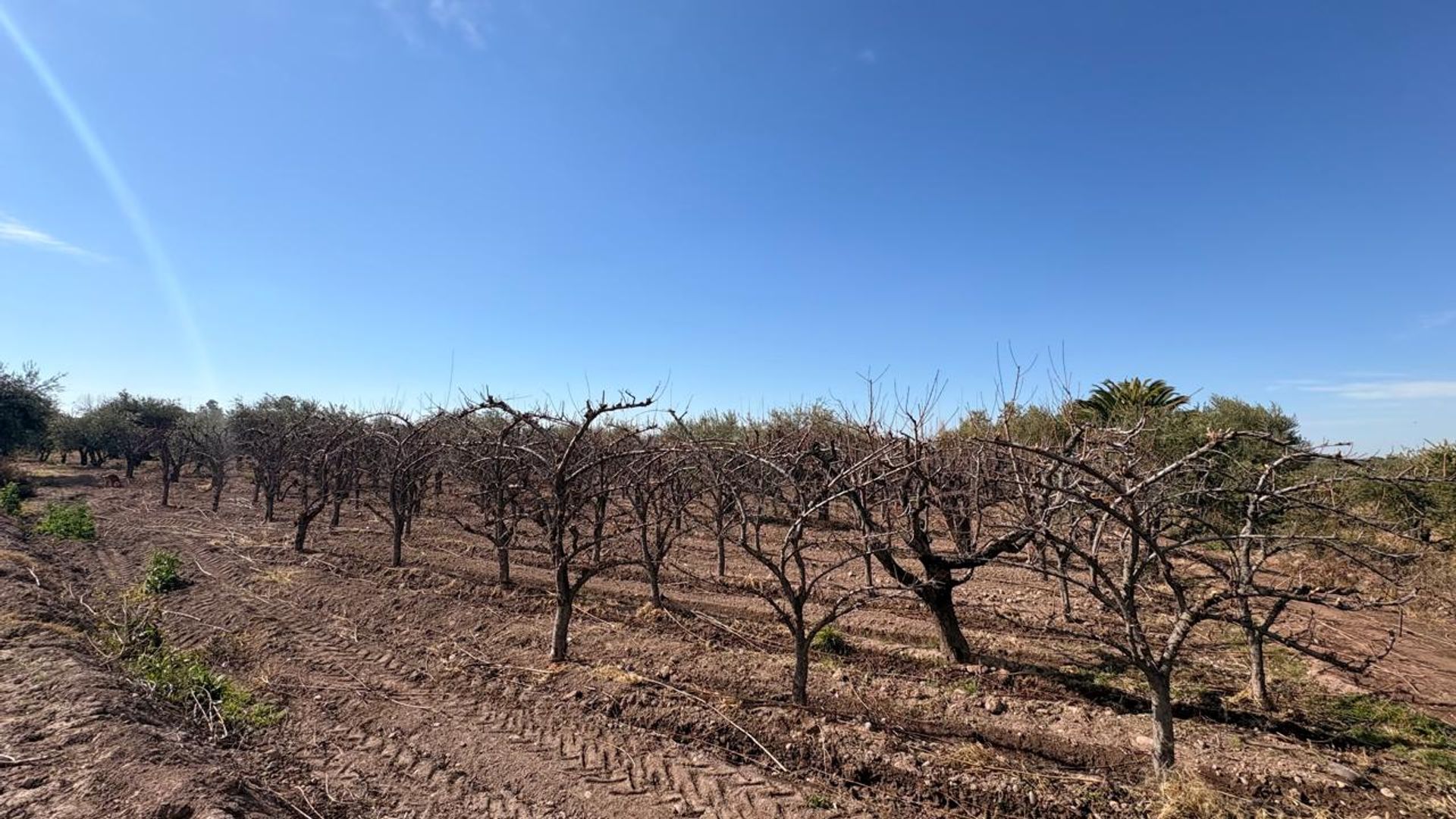 Campo en Venta en Maipu, Mendoza