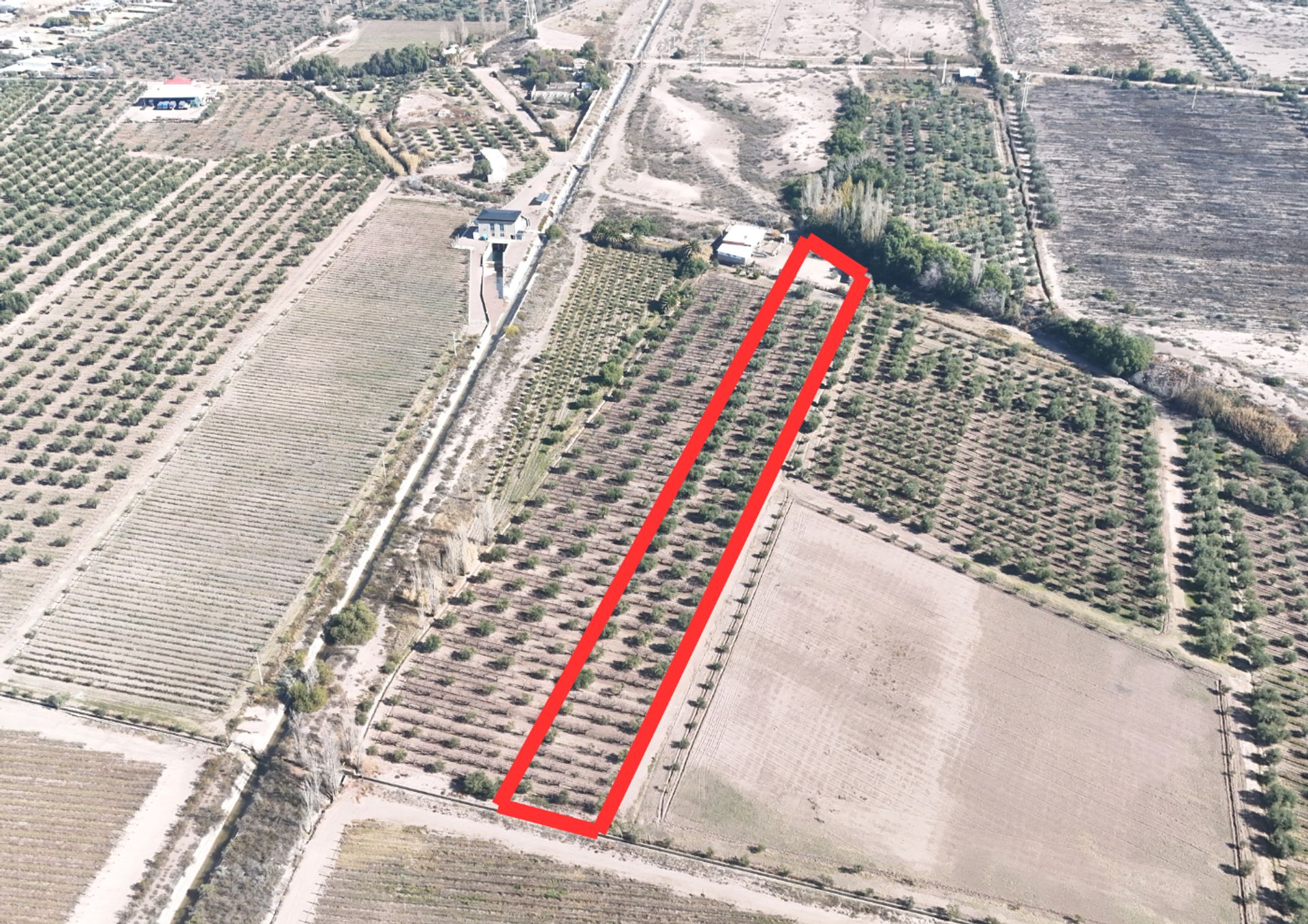 Campo en Venta en Maipu, Mendoza