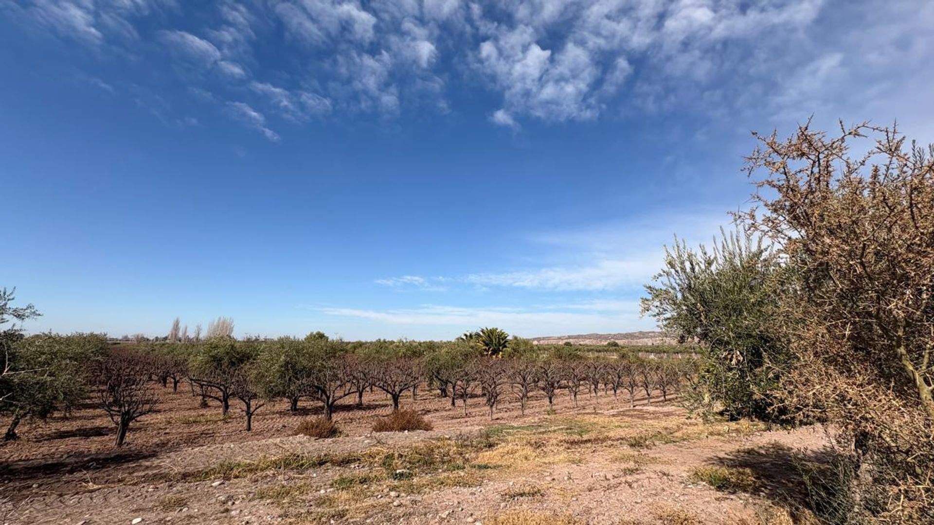 Campo en Venta en Maipu, Mendoza
