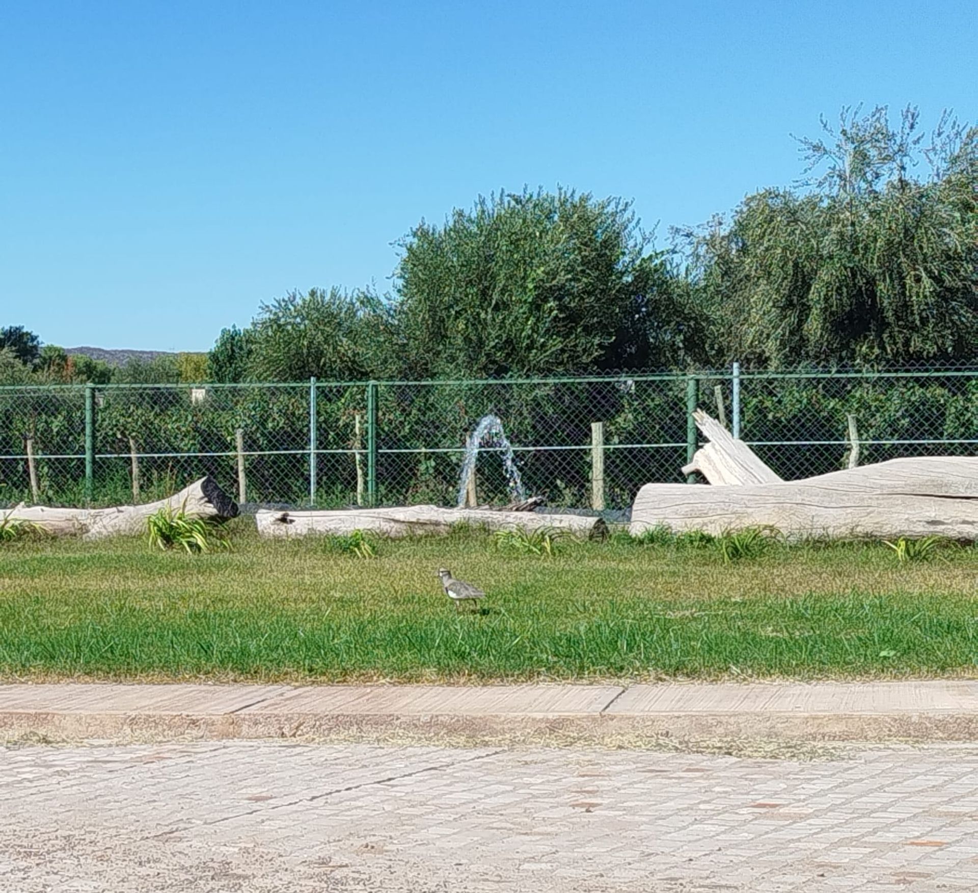 Lote en Venta en Maipu, Mendoza