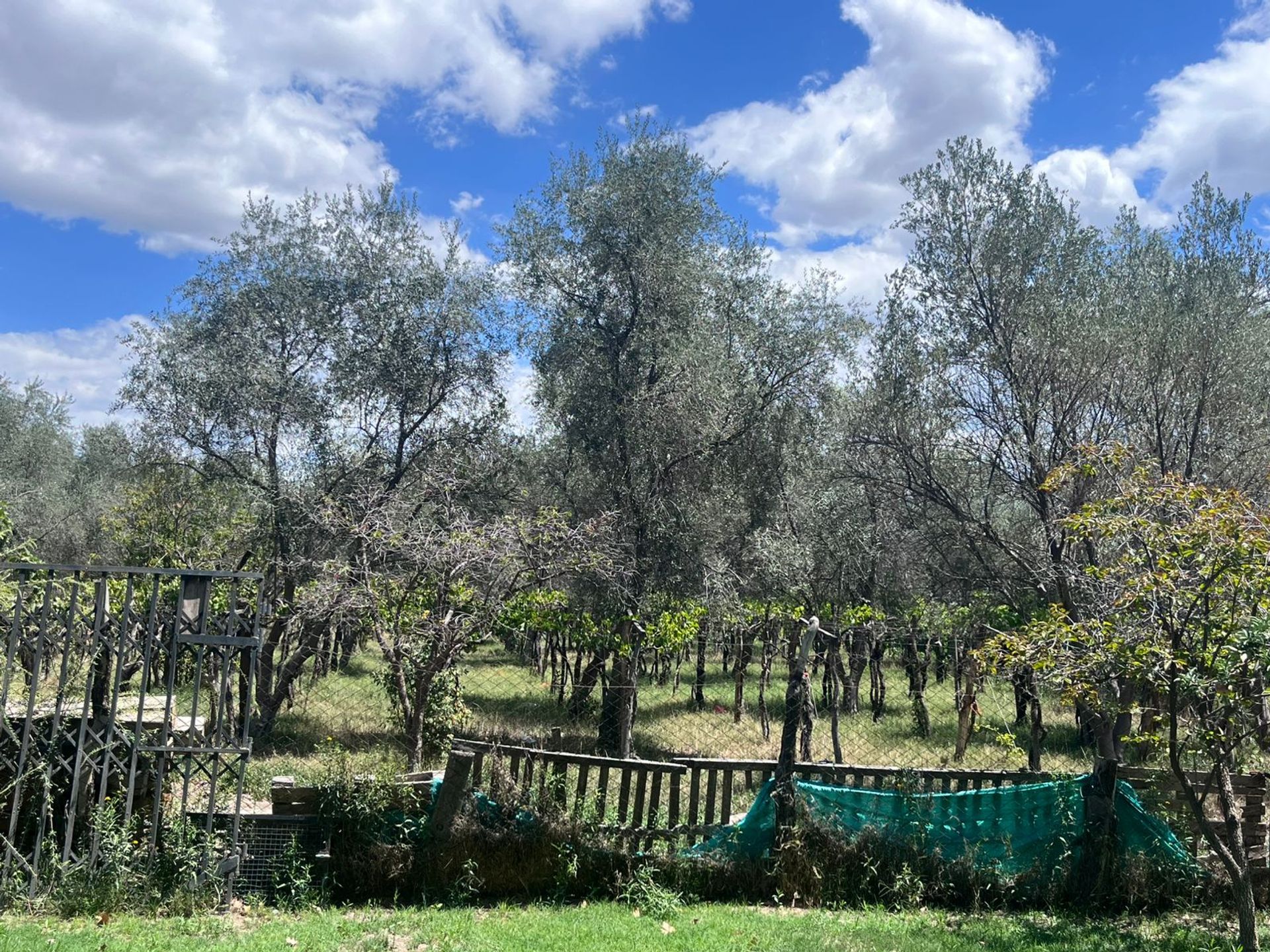 Casa Quinta en Venta en Las Heras, Mendoza