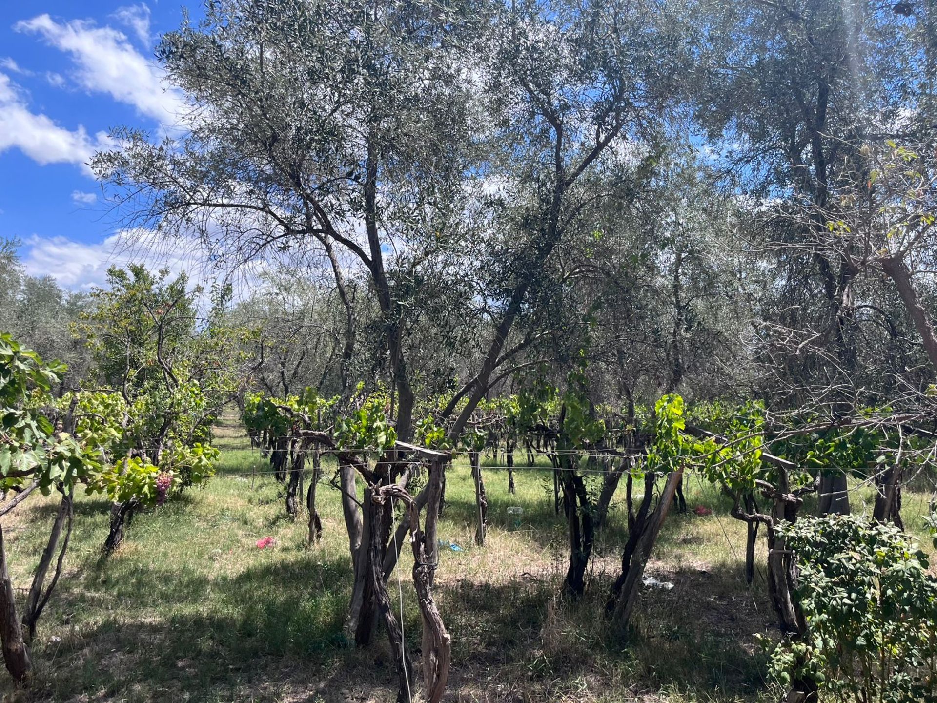 Casa Quinta en Venta en Las Heras, Mendoza