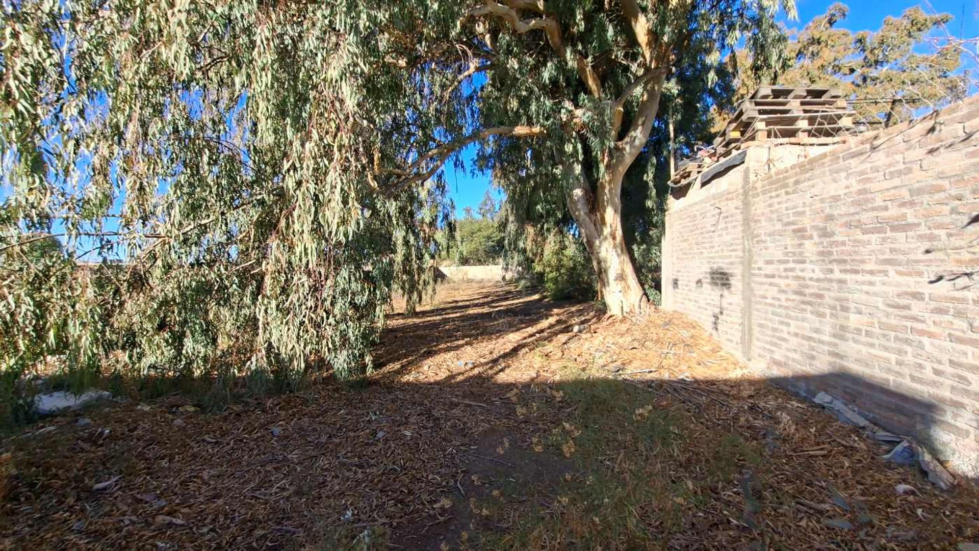 Lote en Venta en Jachal, San Juan