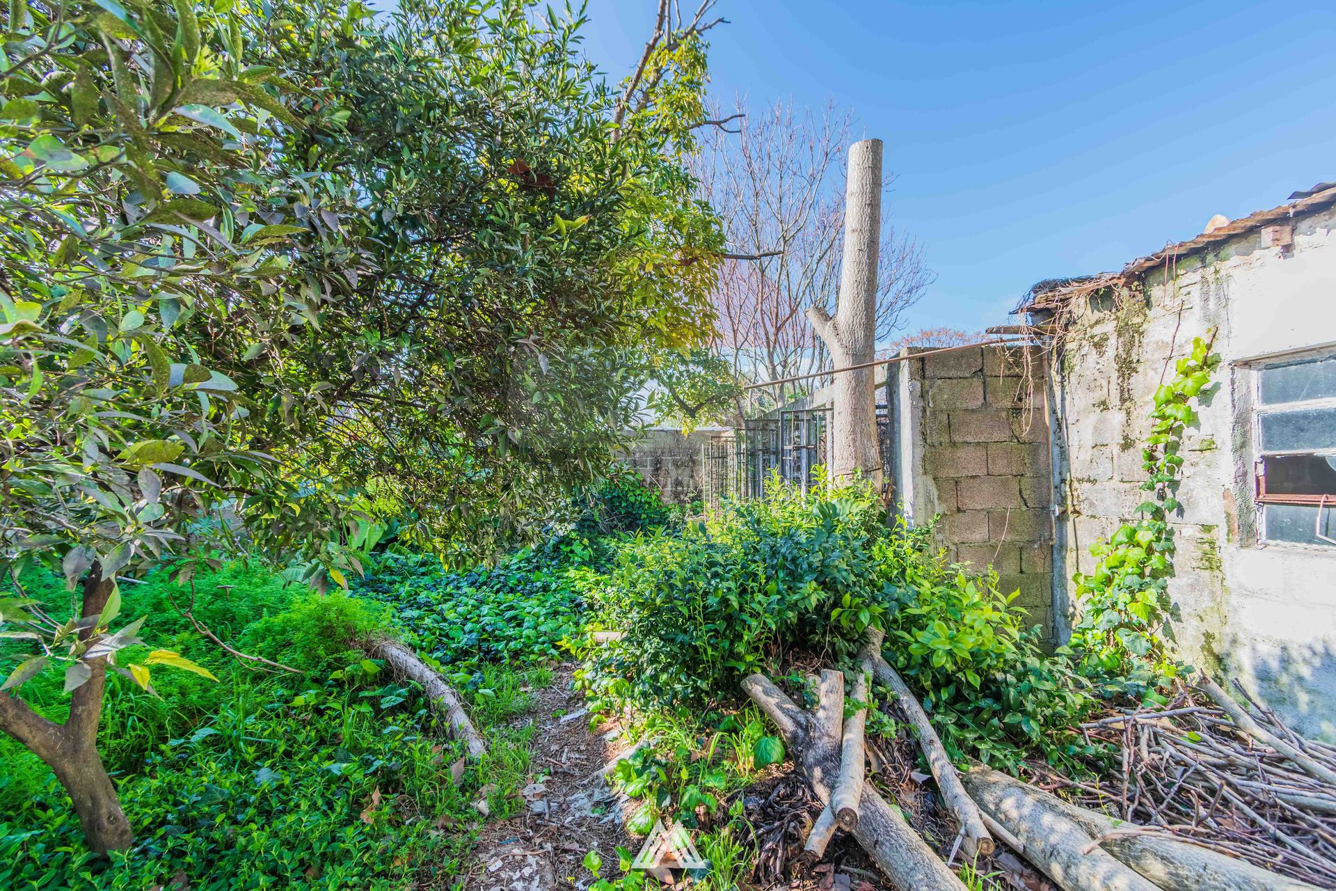 Venta casa 2 dor/local com. Peñarol fondo parrilla - 11