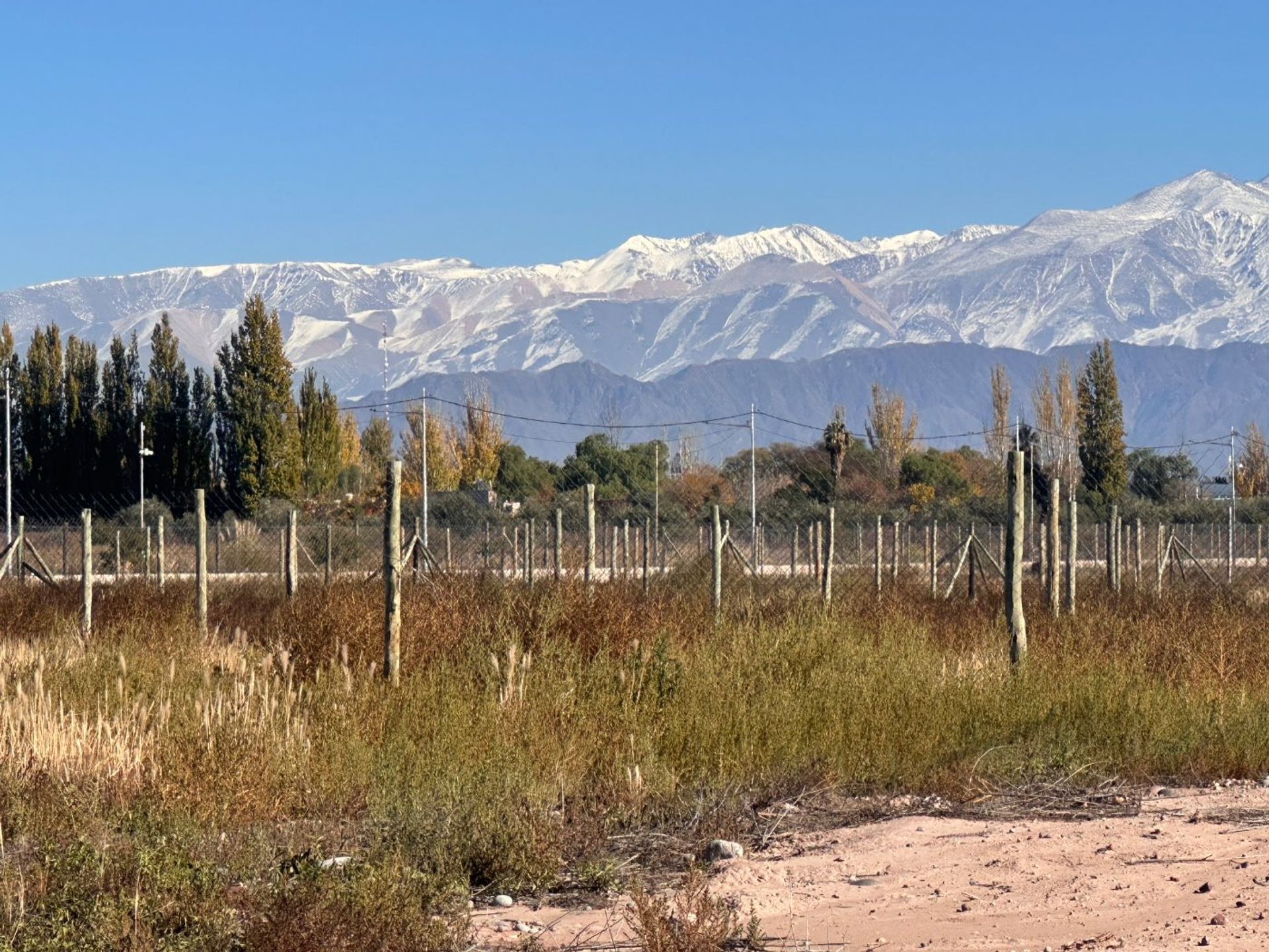 Lote en Venta en Lujan de Cuyo, Mendoza