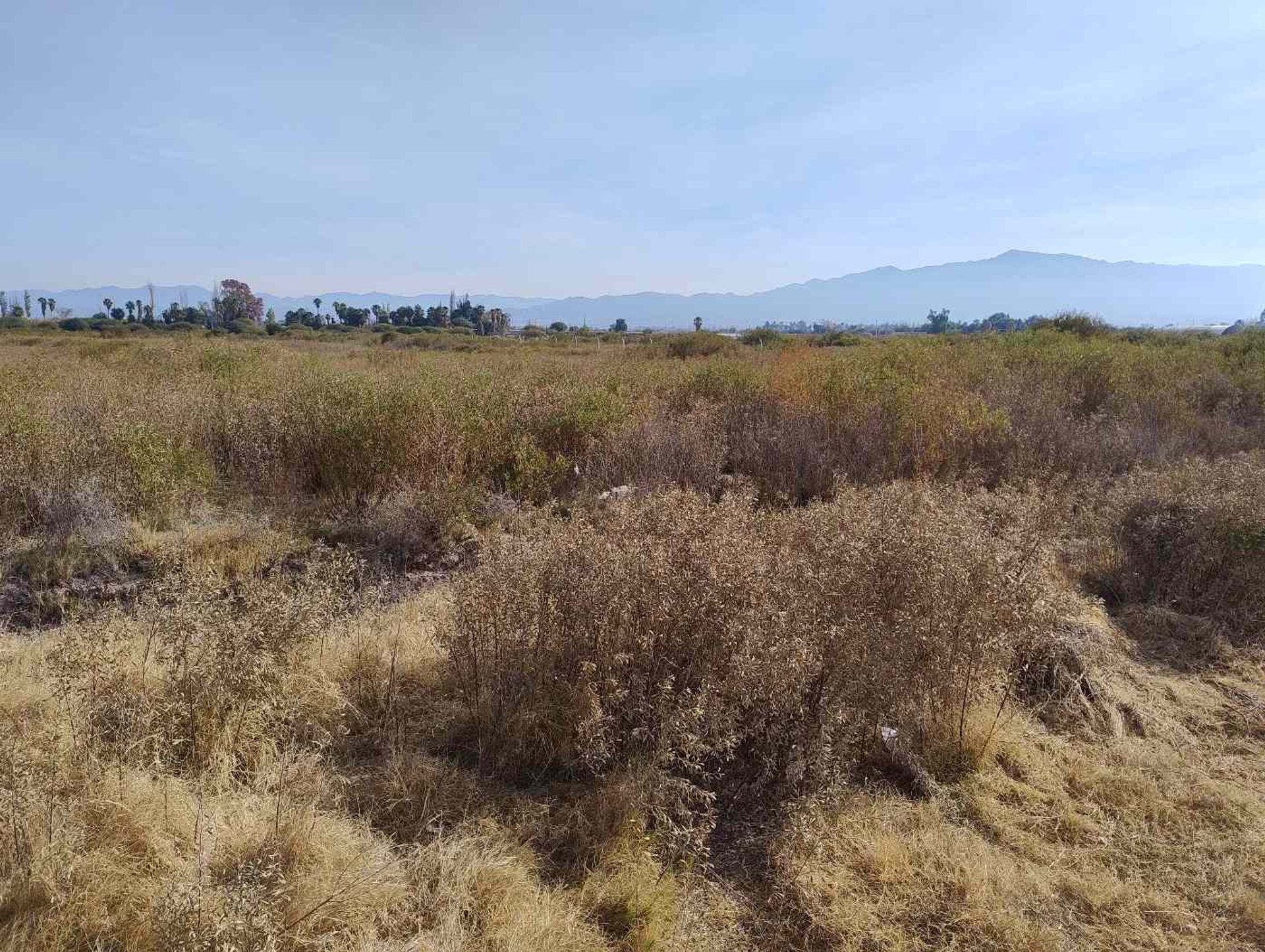 Lote en Venta en Albardon, San Juan