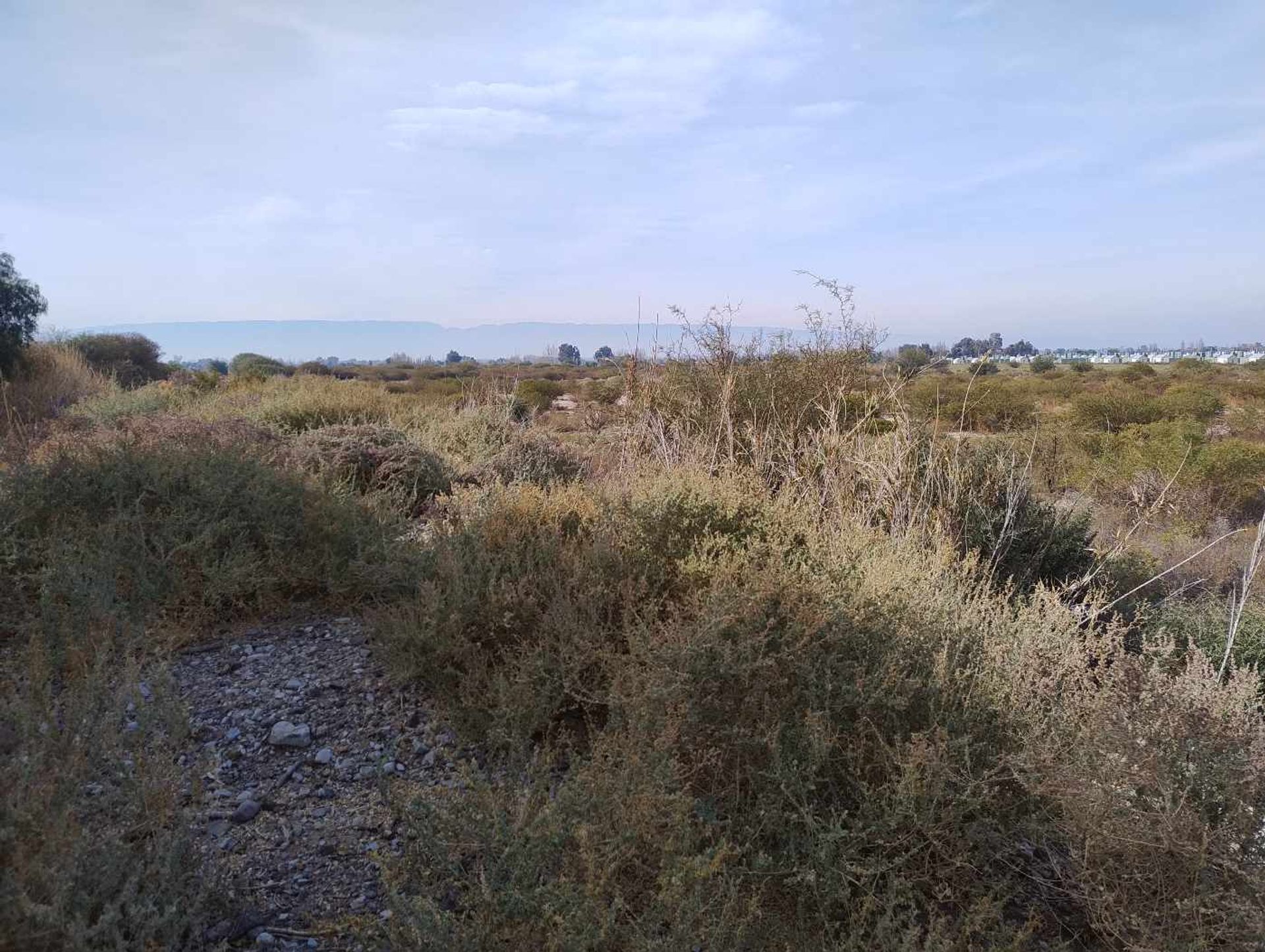Lote en Venta en Albardon, San Juan