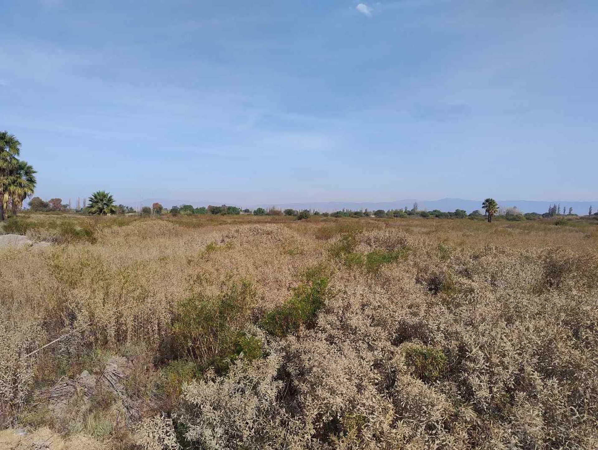 Lote en Venta en Albardon, San Juan