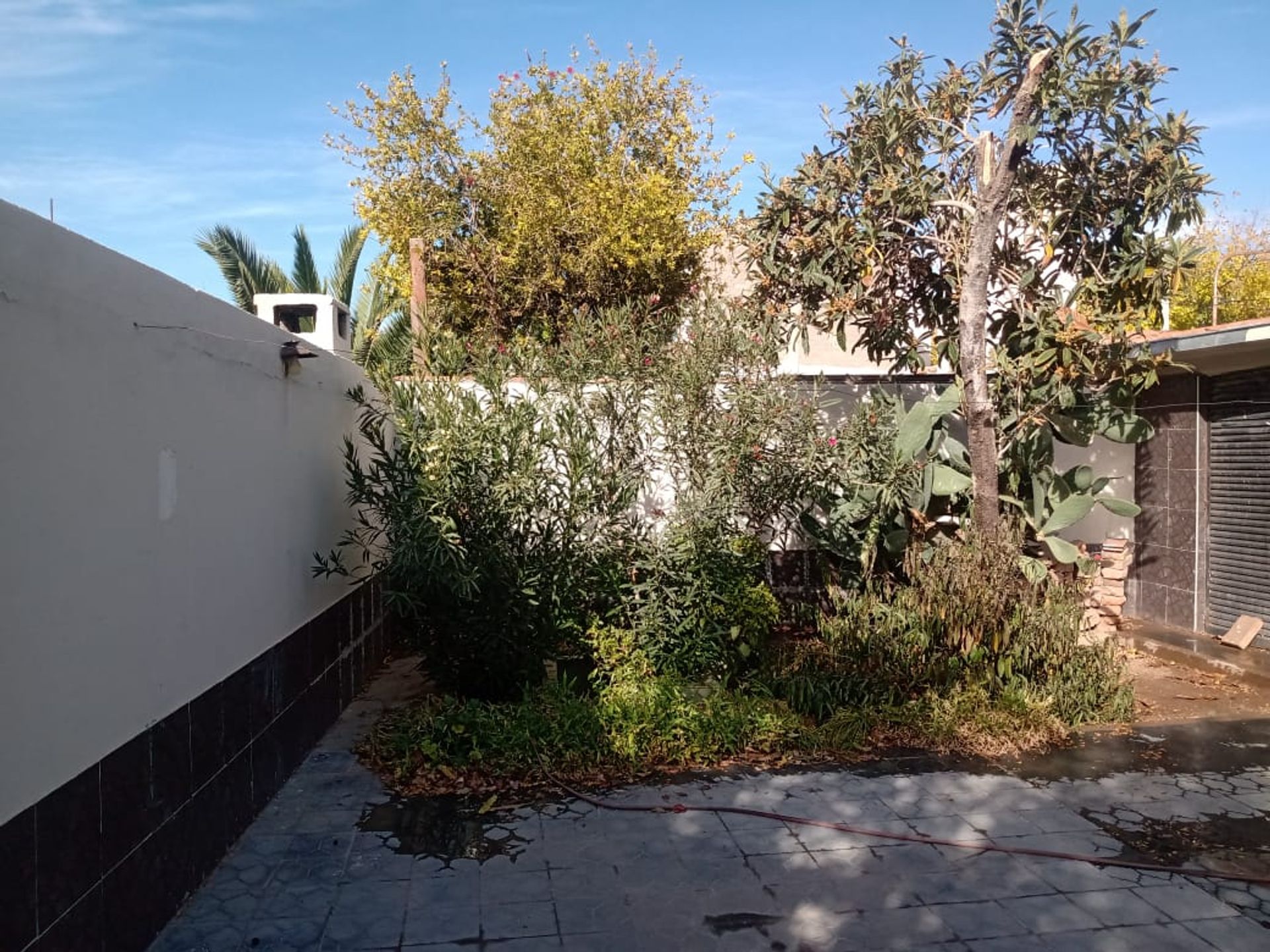Casa en Alquiler en Lujan de Cuyo, Mendoza