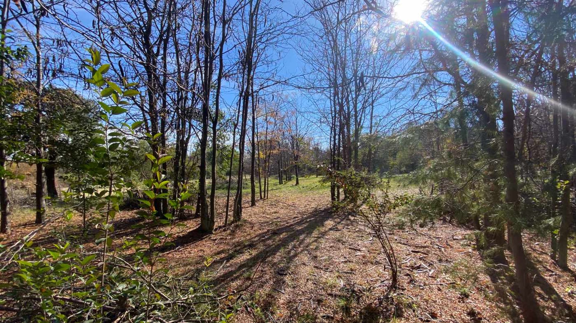 Lote en Venta en San Javier, Cordoba