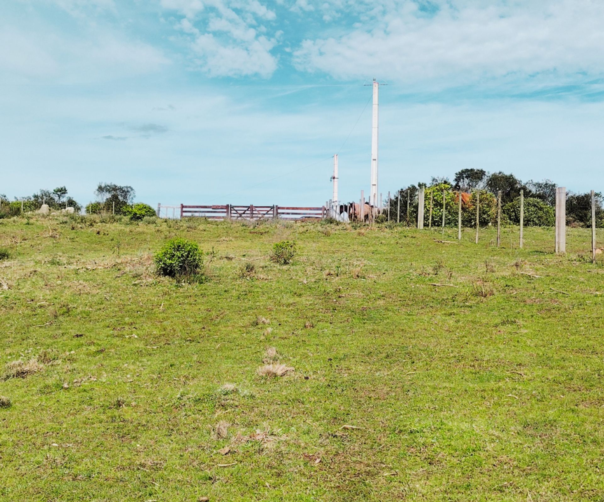Chacra de 5 hectáreas en Las Cañas, Maldonado - 5
