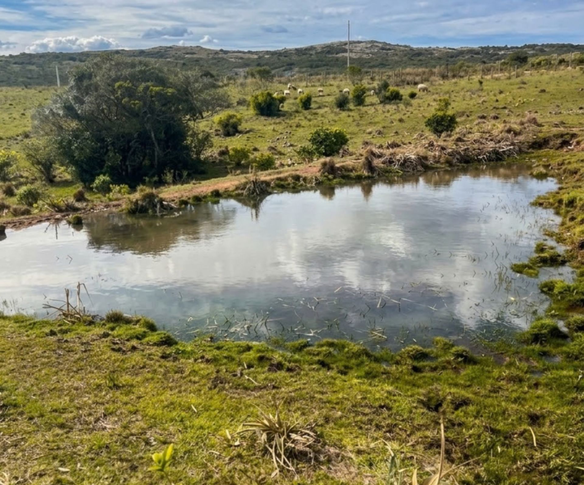 Chacra de 5 hectáreas en Las Cañas, Maldonado - 7