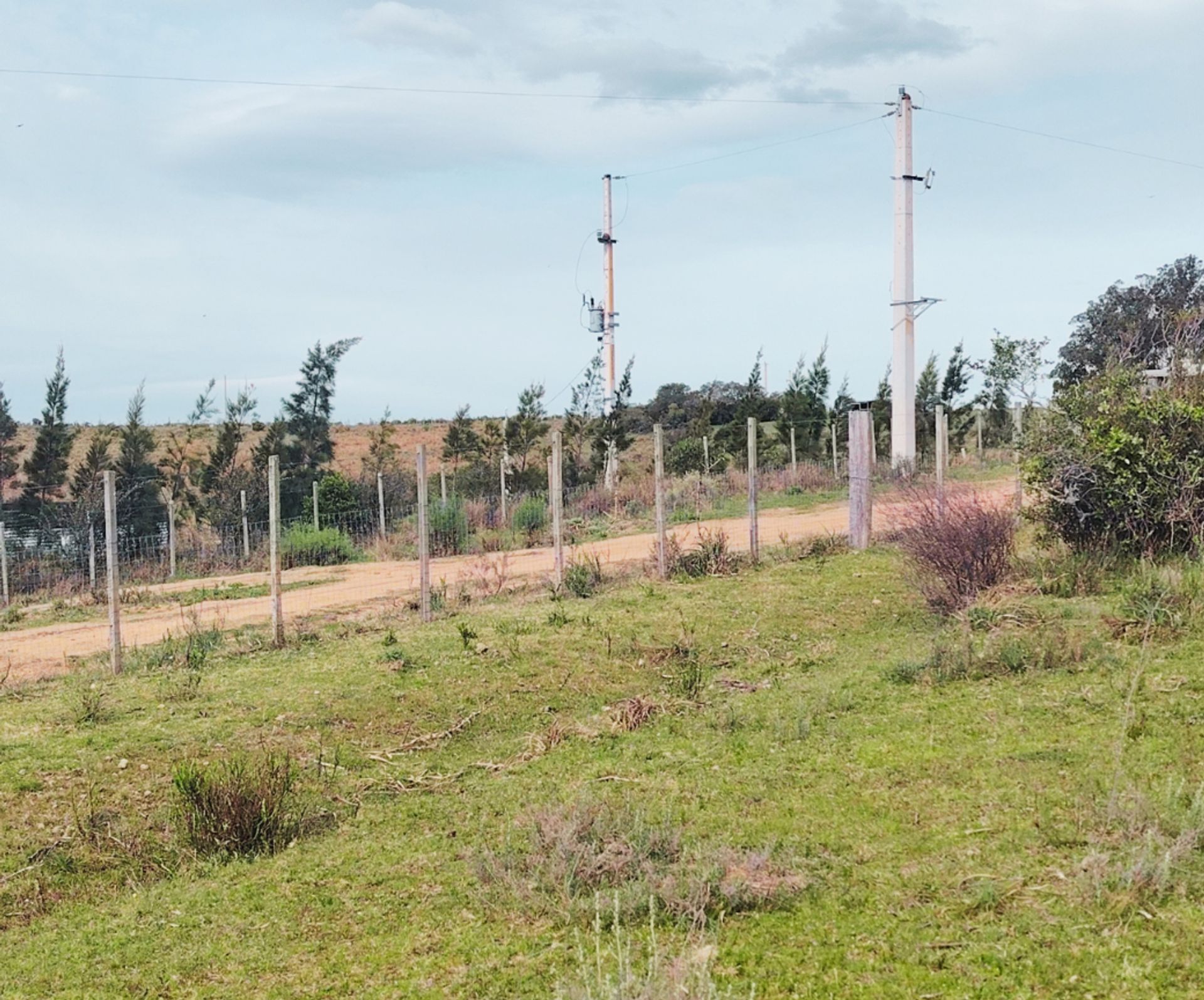 Chacra de 5 hectáreas en Las Cañas, Maldonado - 14