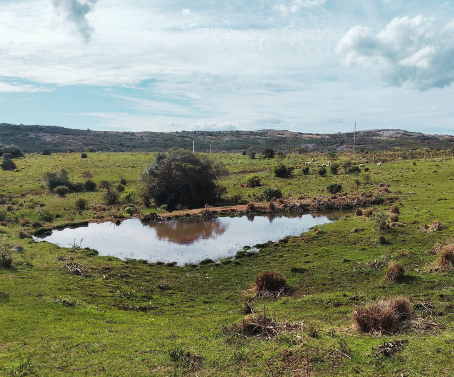 Chacra de 5 hectáreas en Las Cañas, Maldonado - 6