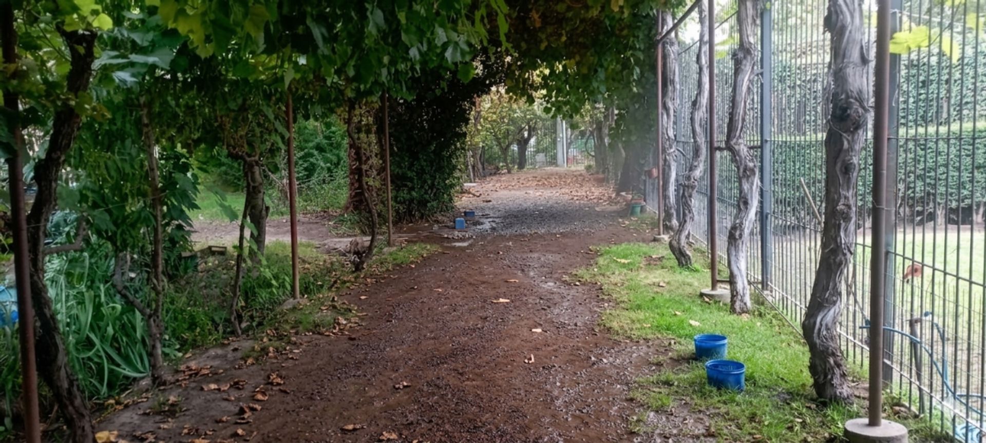 Casa en Venta en Guaymallen, Mendoza