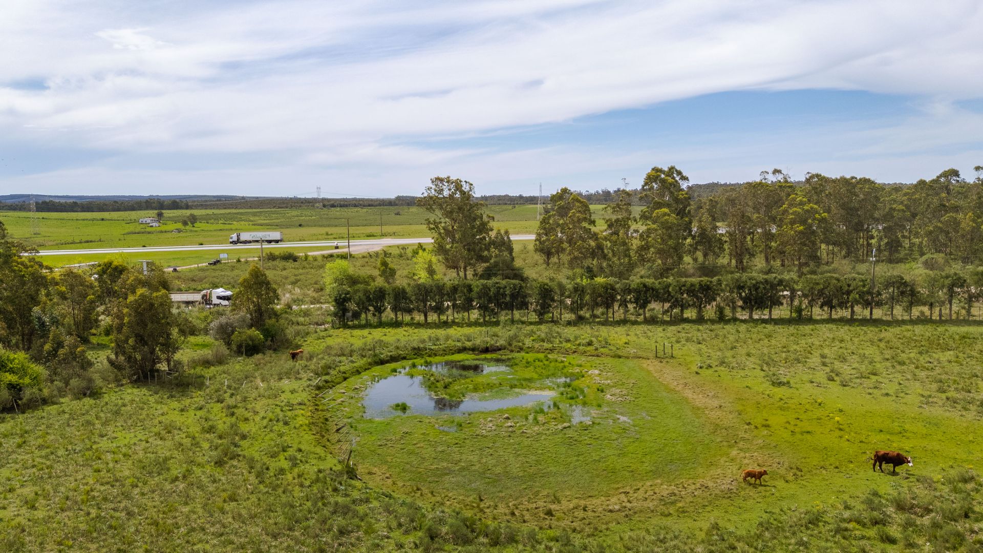 Venta Campo, Soca, 8 htas vivienda galpon - 20
