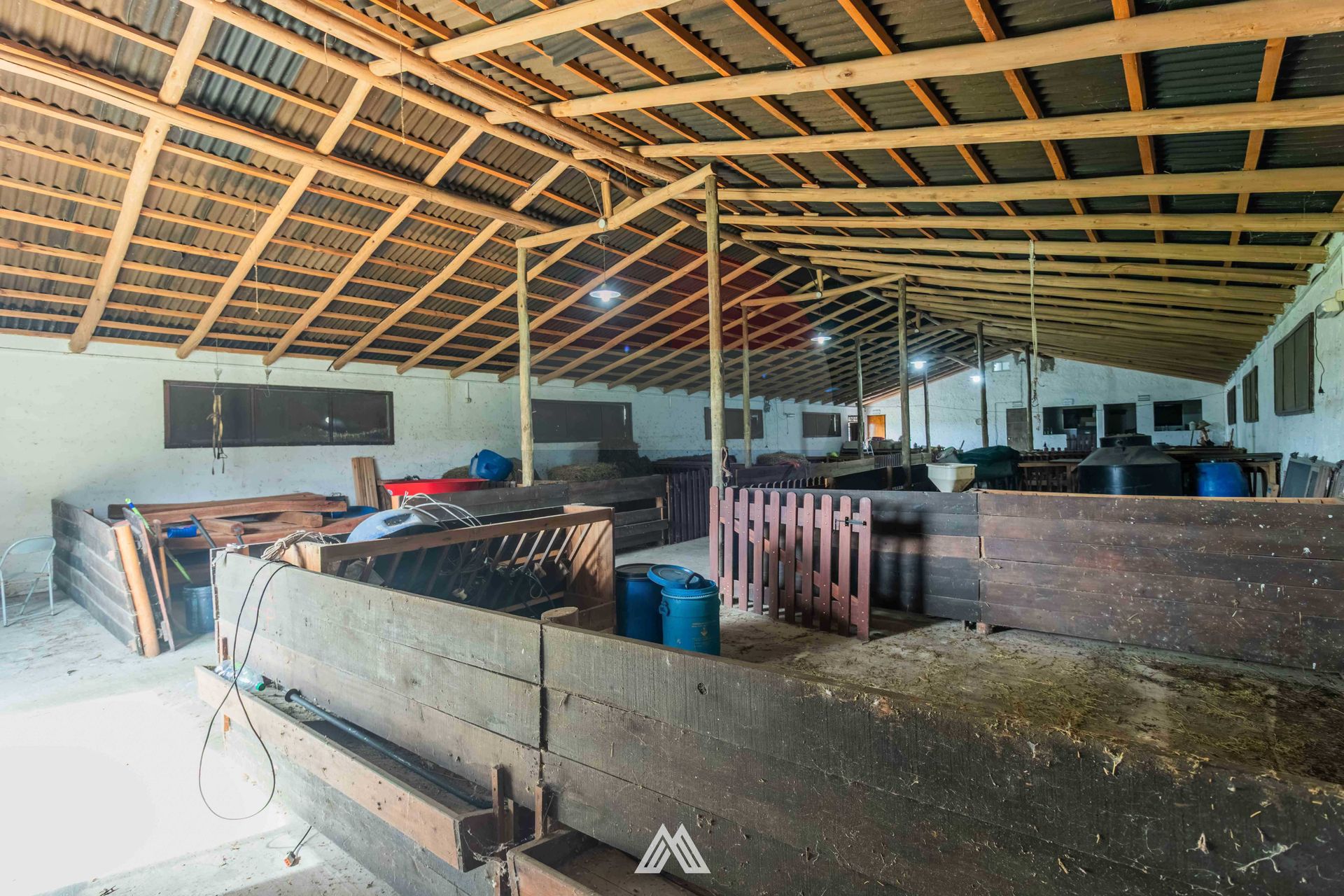Venta Campo, Soca, 8 htas vivienda galpon - 5