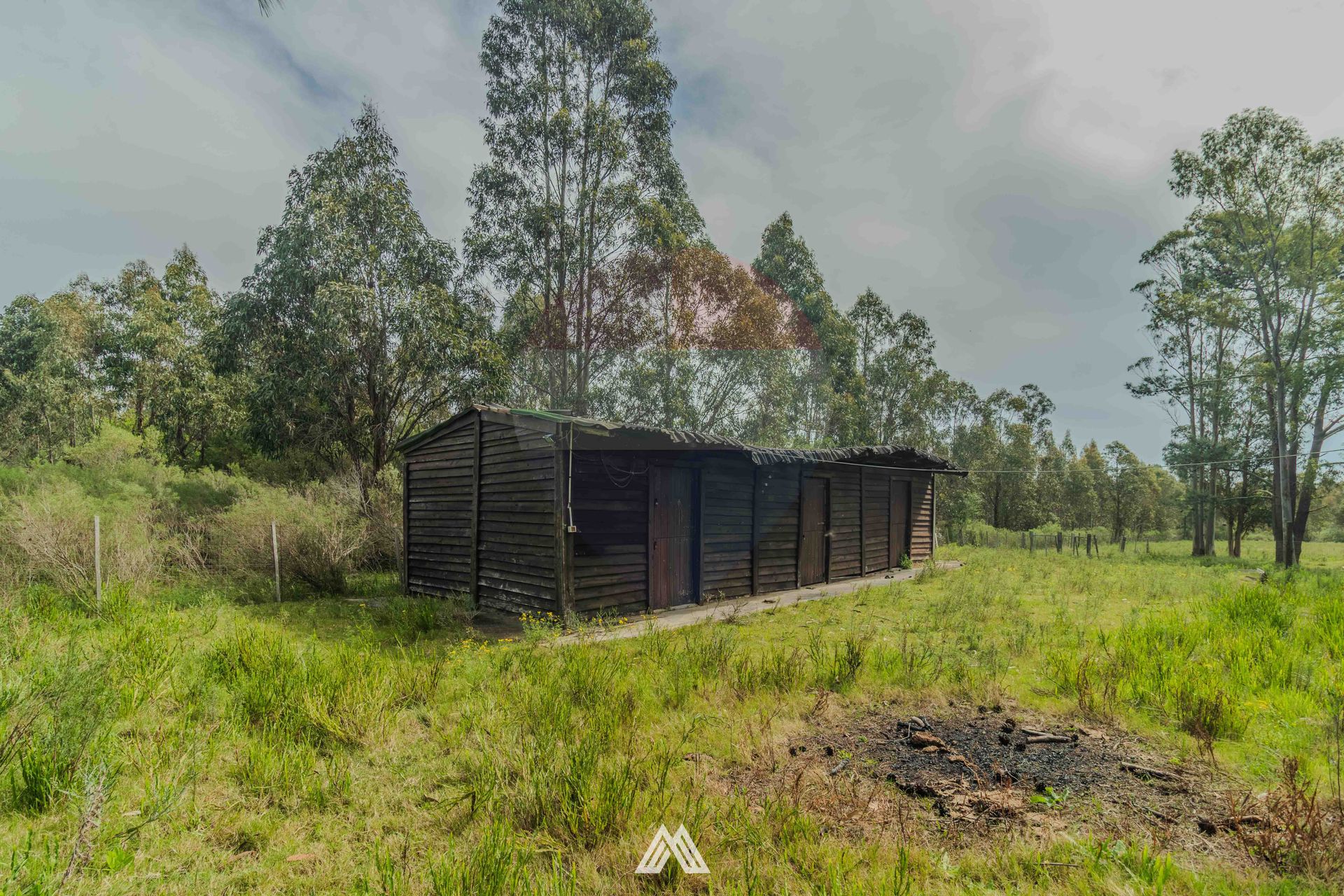 Venta Campo, Soca, 8 htas vivienda galpon - 19