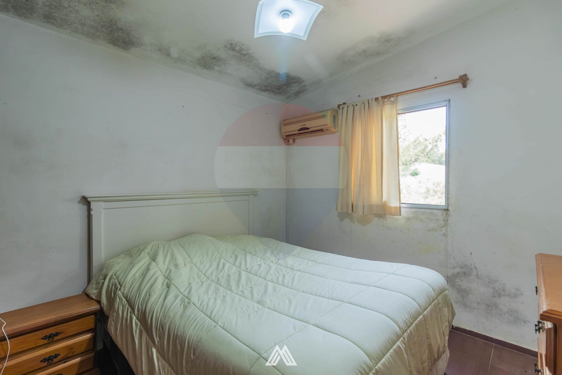 Venta Campo, Soca, 8 htas vivienda galpon - 15