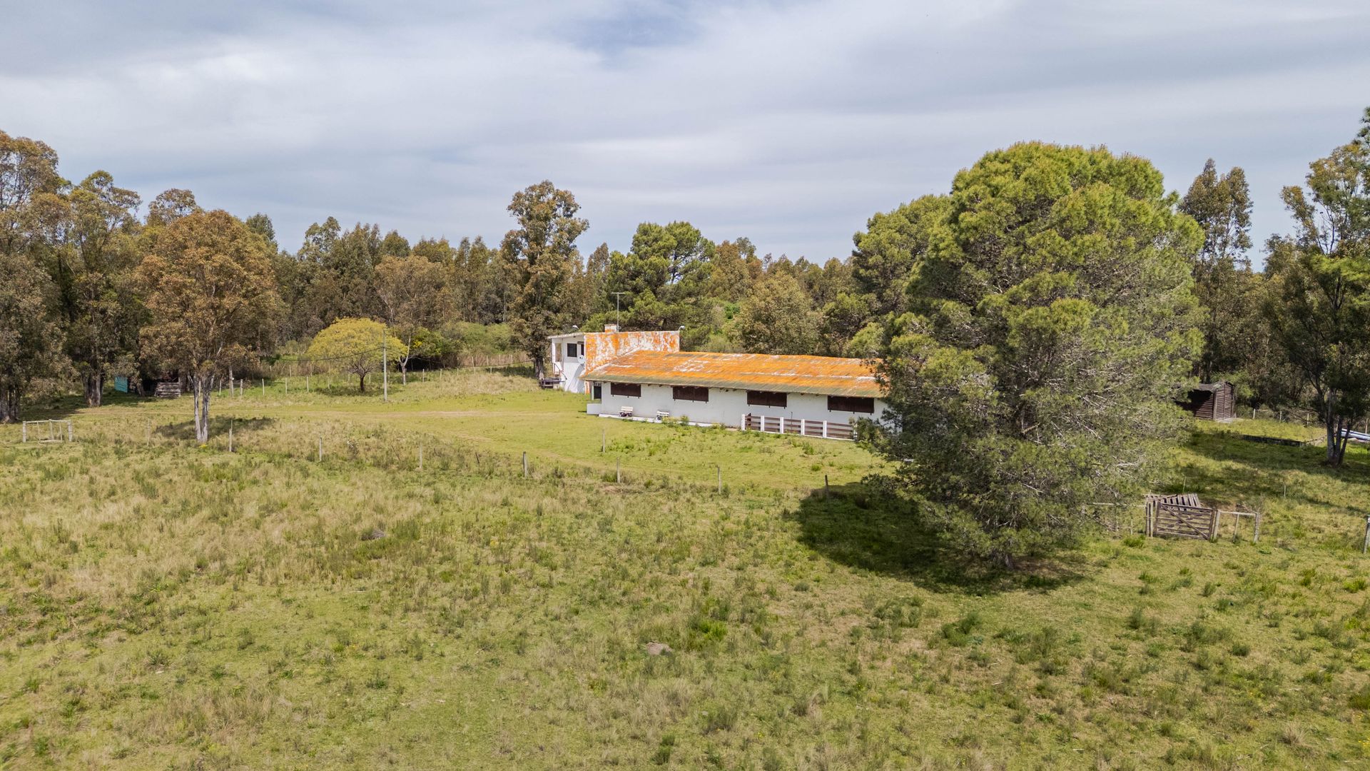 Venta Campo, Soca, 8 htas vivienda galpon - 3