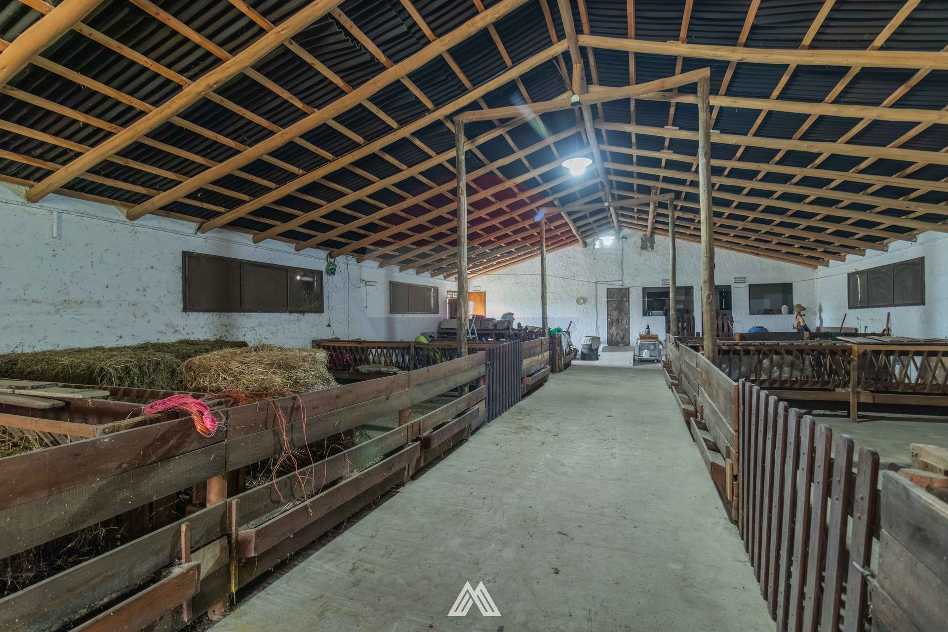 Venta Campo, Soca, 8 htas vivienda galpon - 7