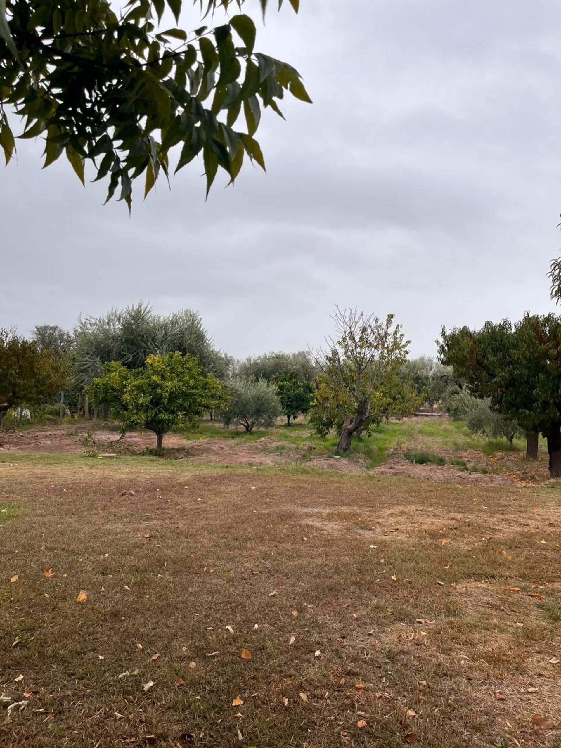 Casa Quinta en Venta en Maipu, Mendoza