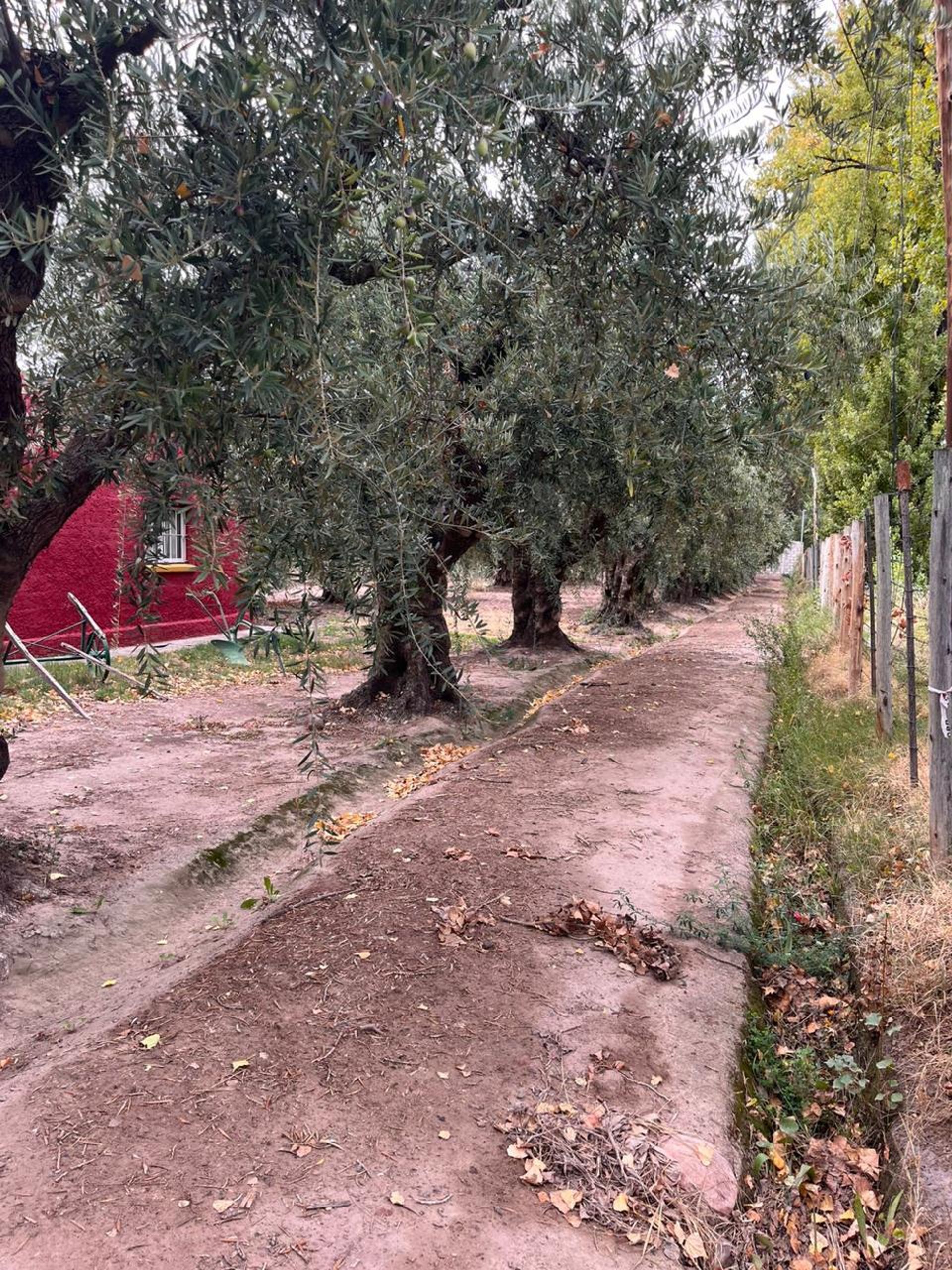 Casa Quinta en Venta en Maipu, Mendoza