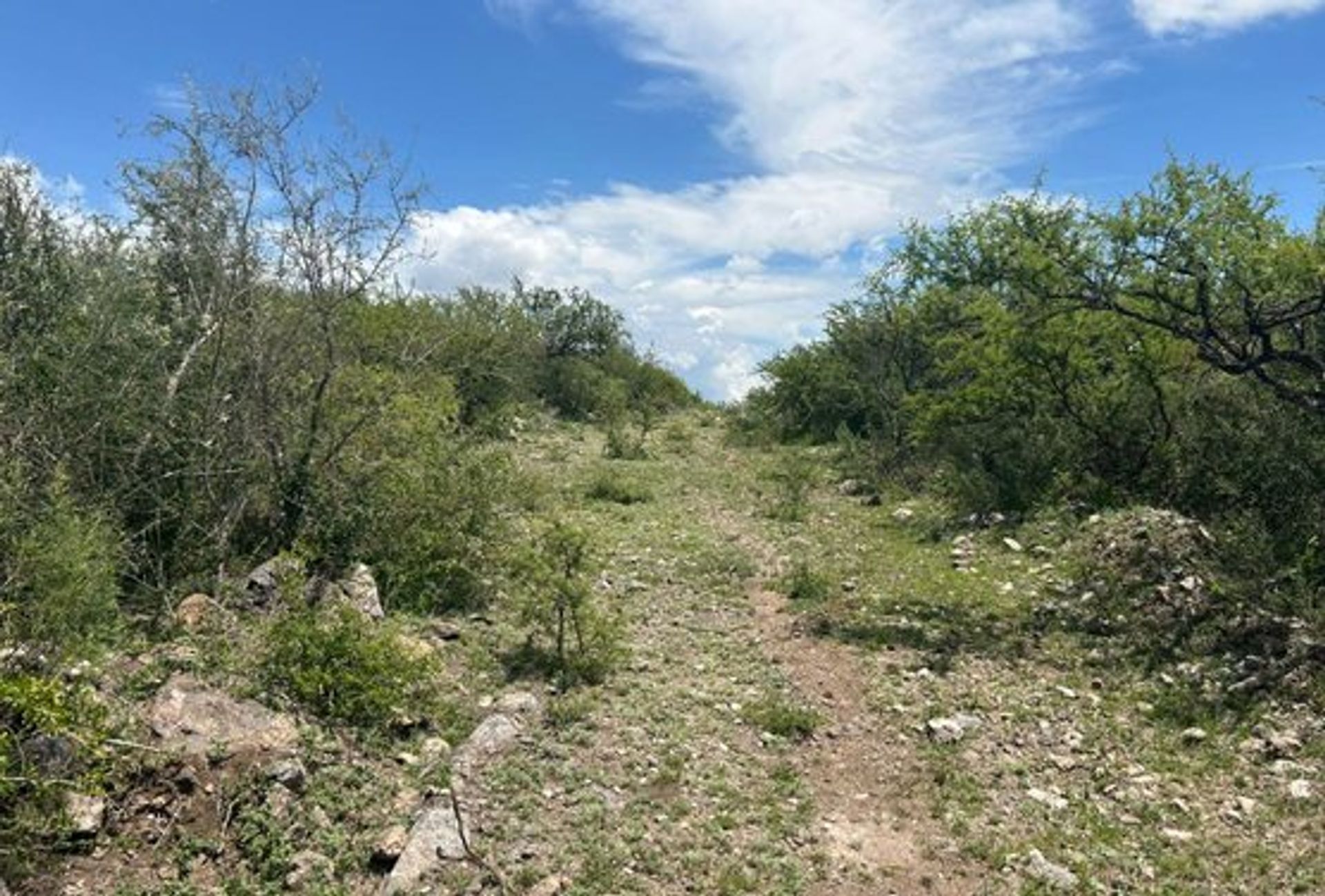 Lote en Venta en Calamuchita, Cordoba