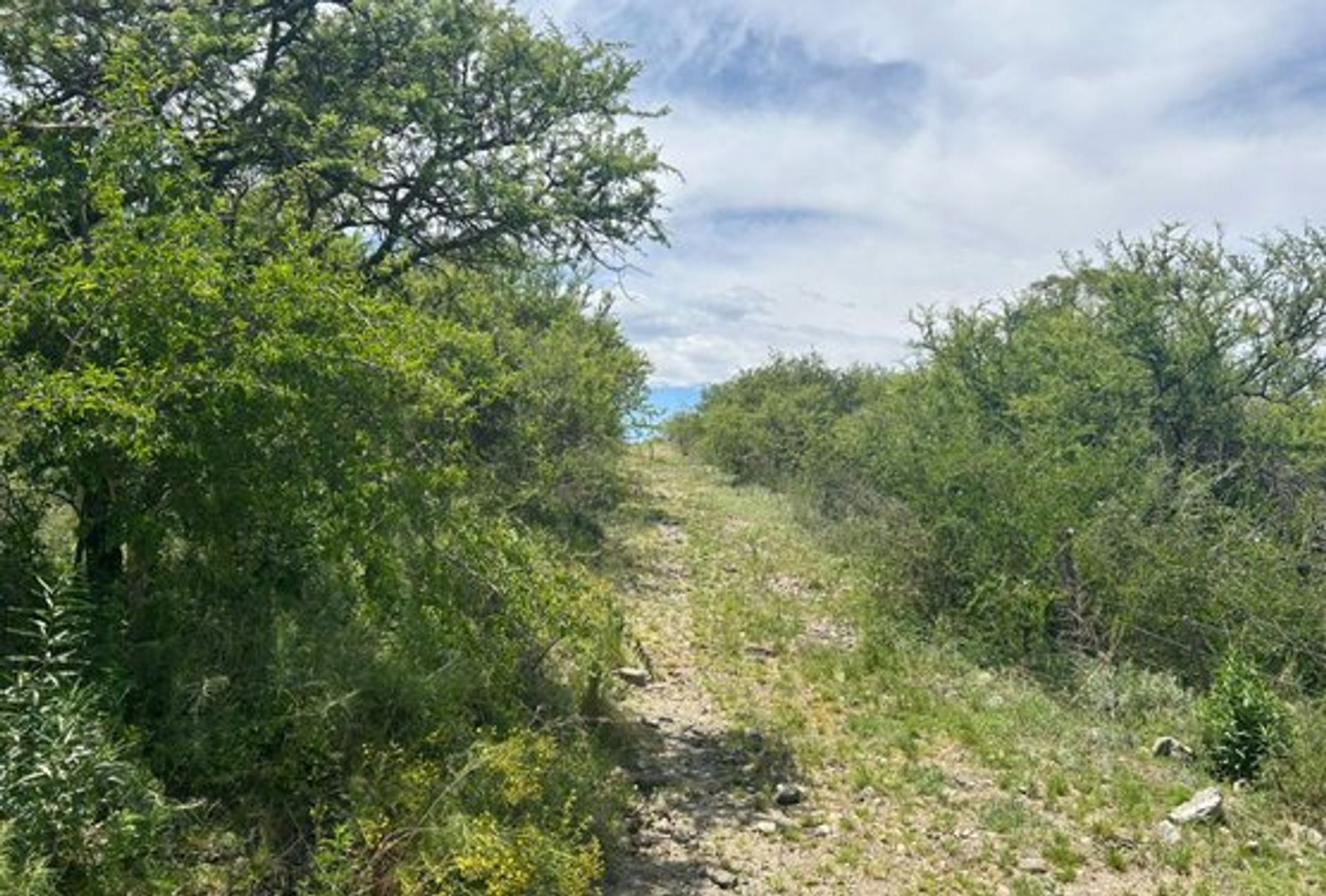 Lote en Venta en Calamuchita, Cordoba