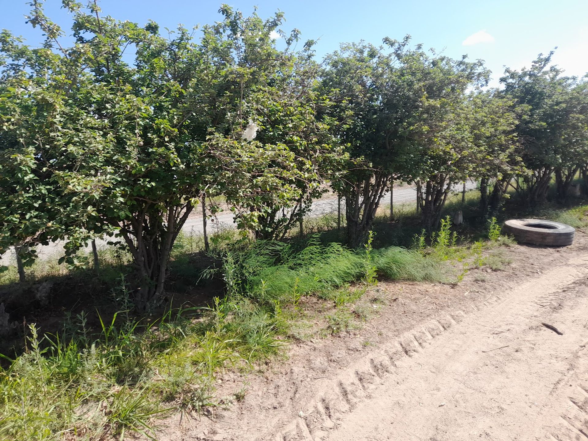 Campo en Venta en Lavalle, Mendoza