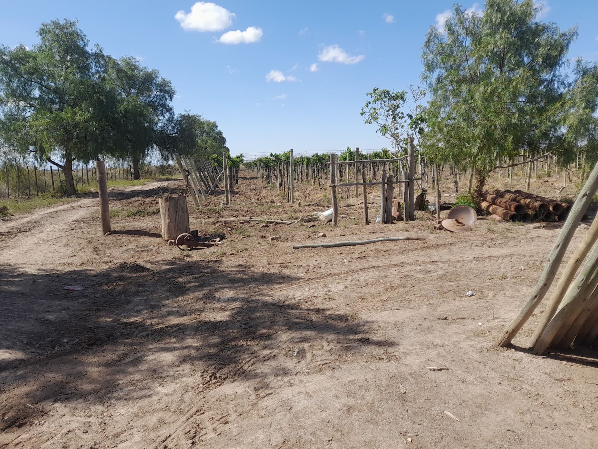 Campo en Venta en Lavalle, Mendoza
