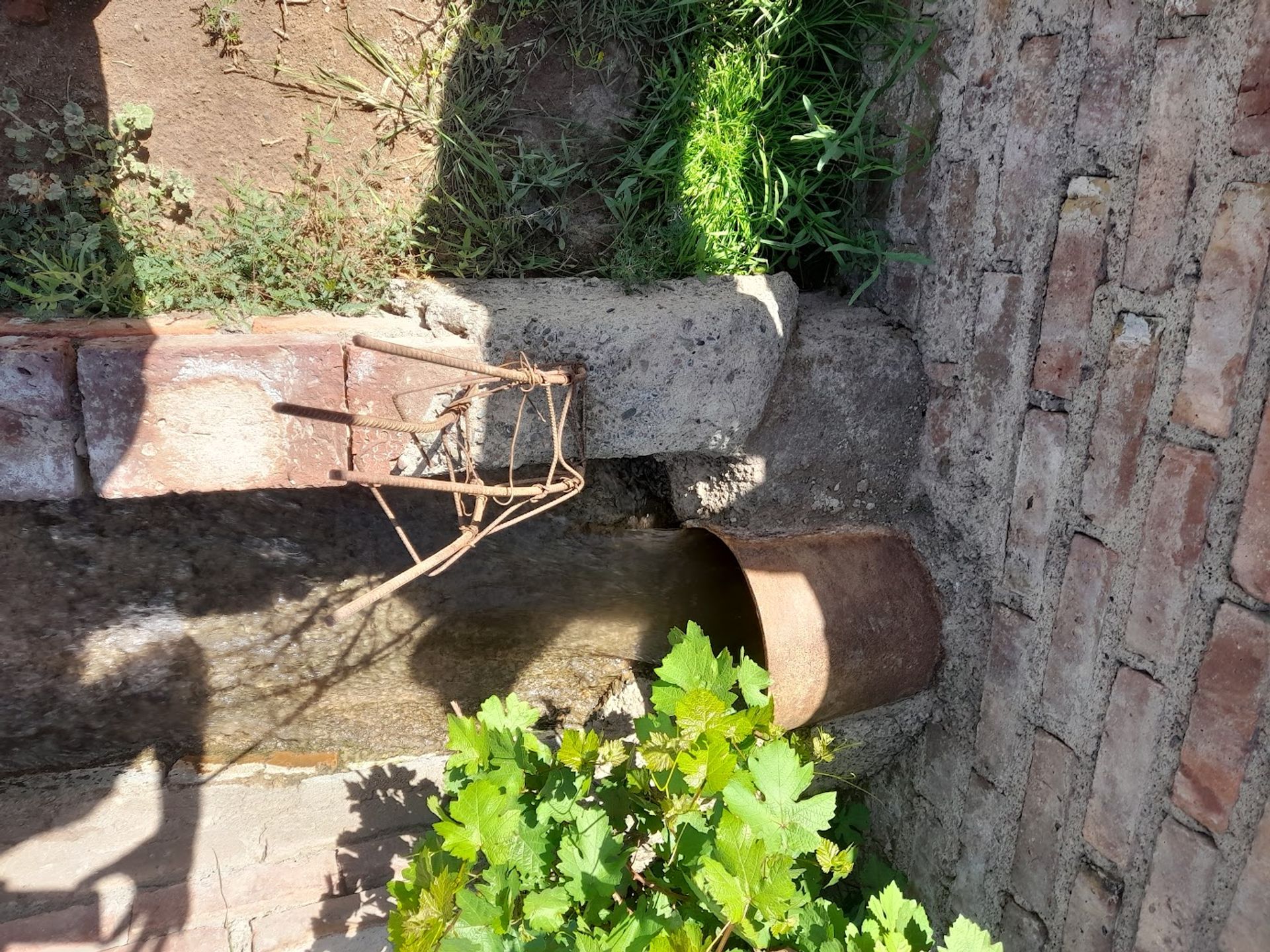 Campo en Venta en Lavalle, Mendoza