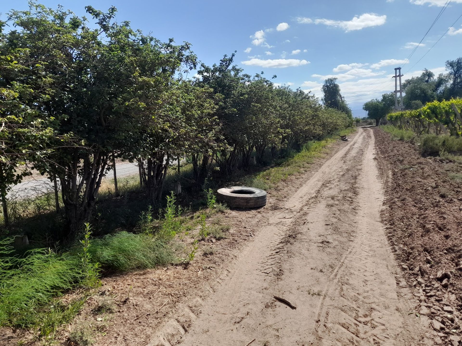 Campo en Venta en Lavalle, Mendoza