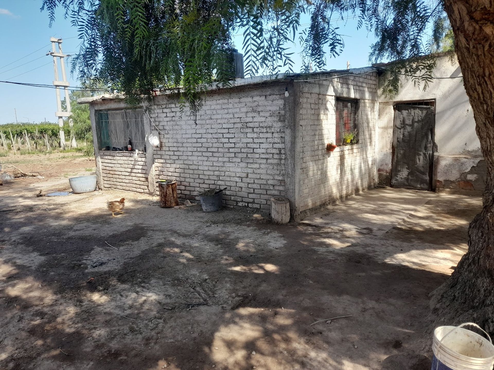 Campo en Venta en Lavalle, Mendoza