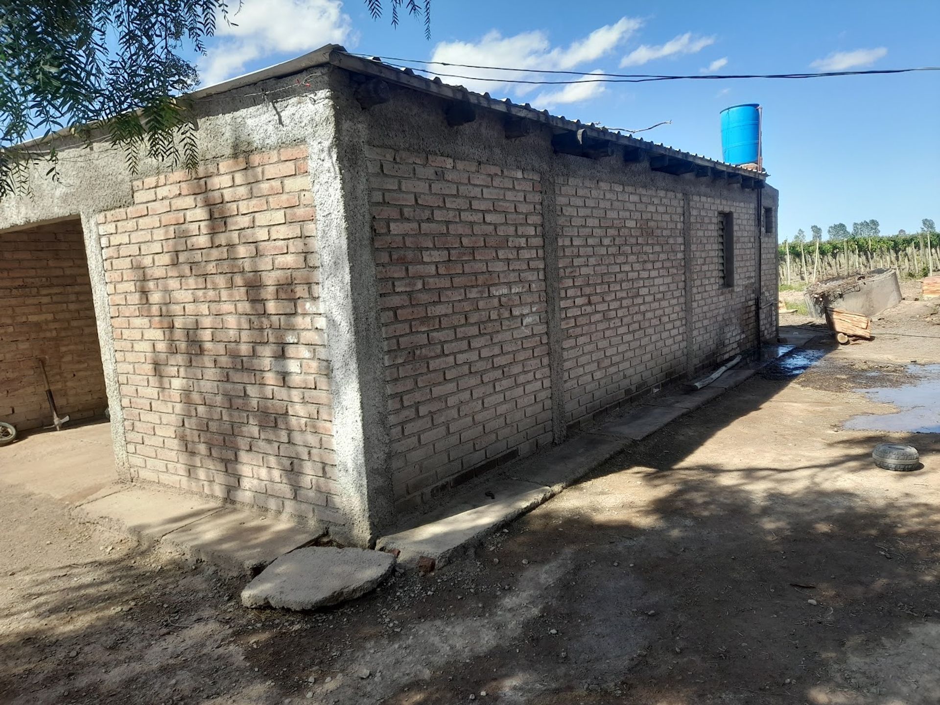 Campo en Venta en Lavalle, Mendoza