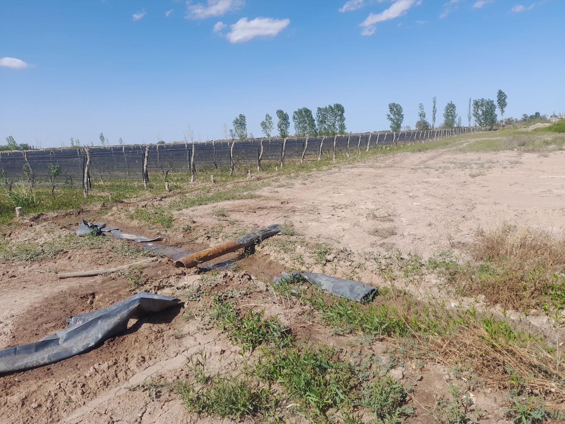 Campo en Venta en Lavalle, Mendoza